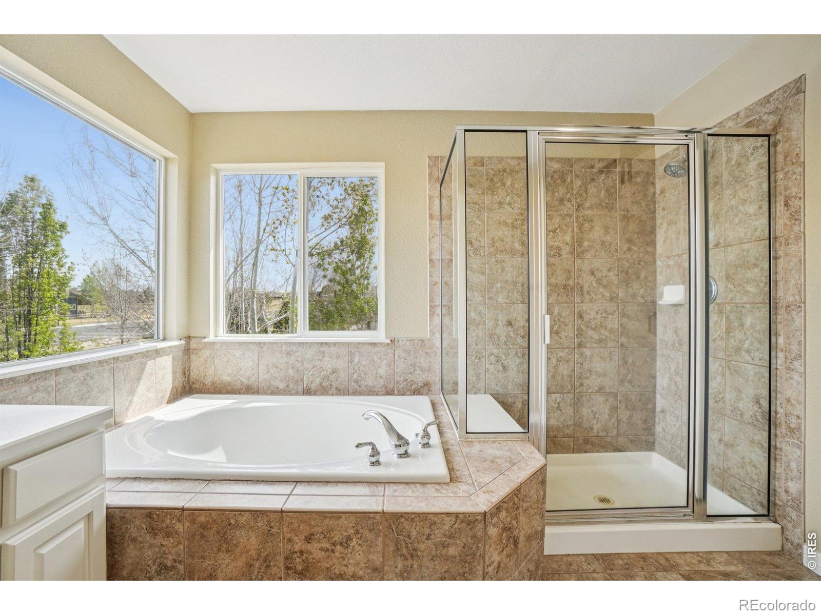 MLS Image #18 for 8110  northstar drive,windsor, Colorado