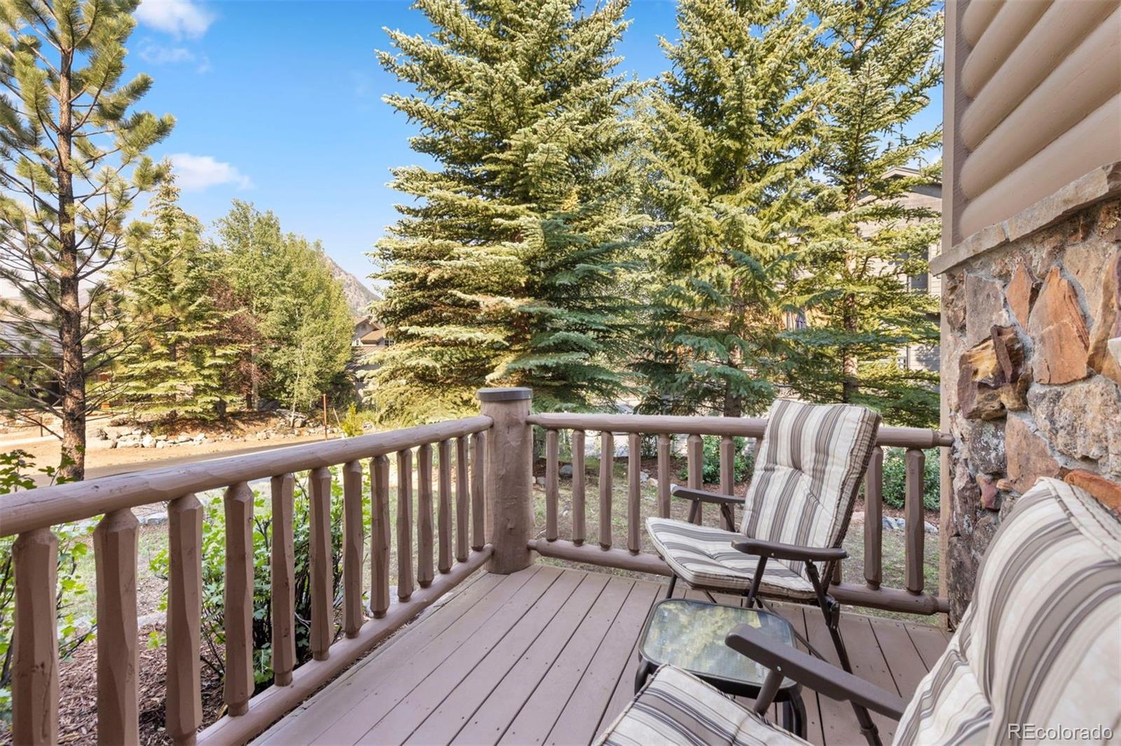 MLS Image #10 for 17  mallard lane,frisco, Colorado