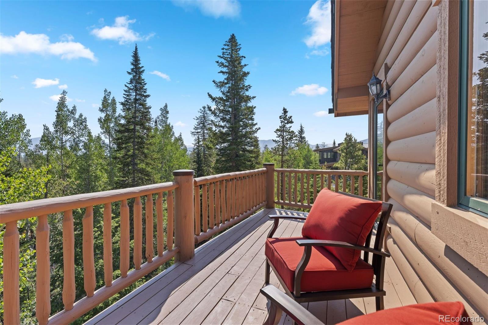MLS Image #24 for 17  mallard lane,frisco, Colorado
