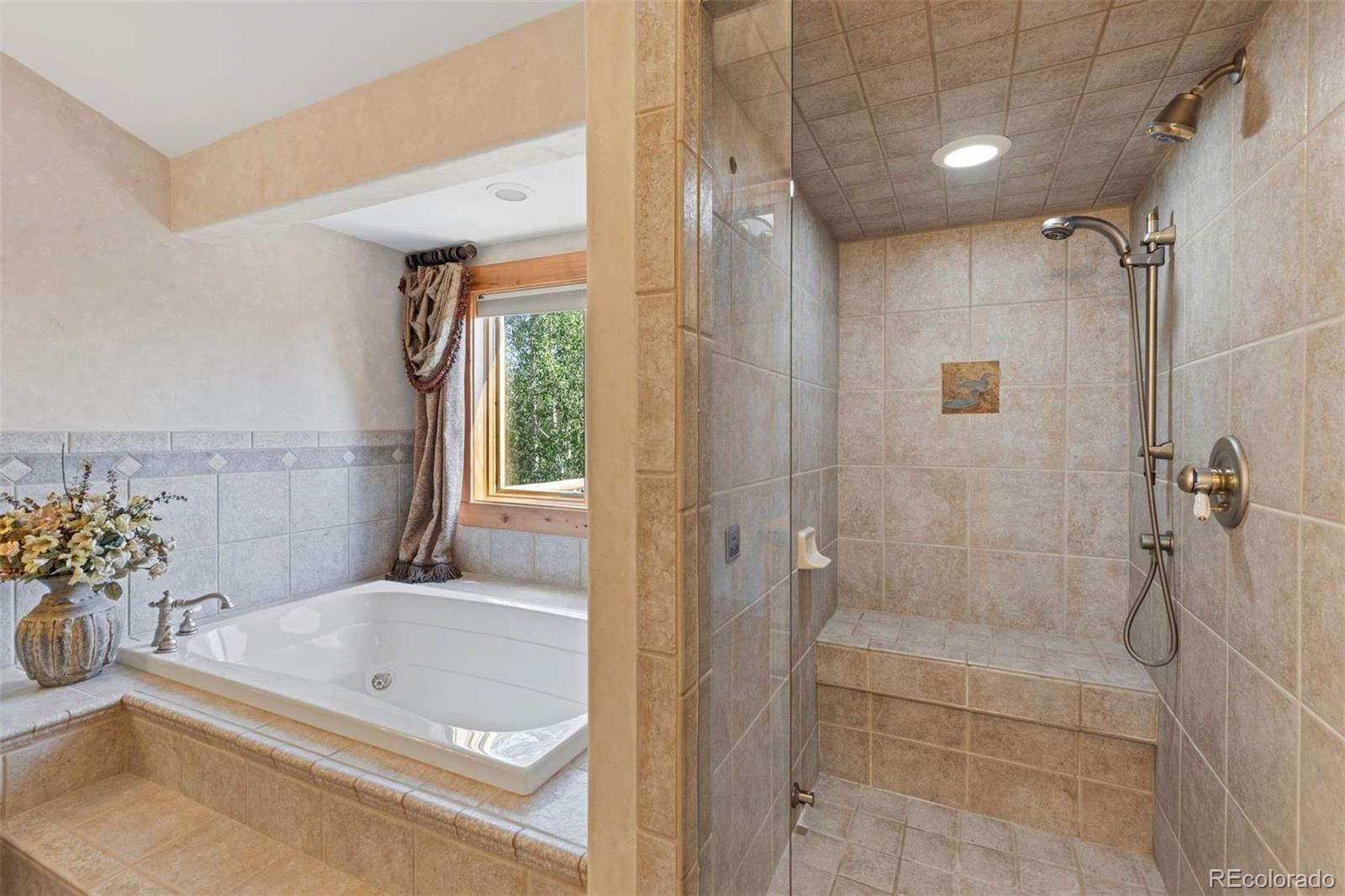 MLS Image #28 for 17  mallard lane,frisco, Colorado