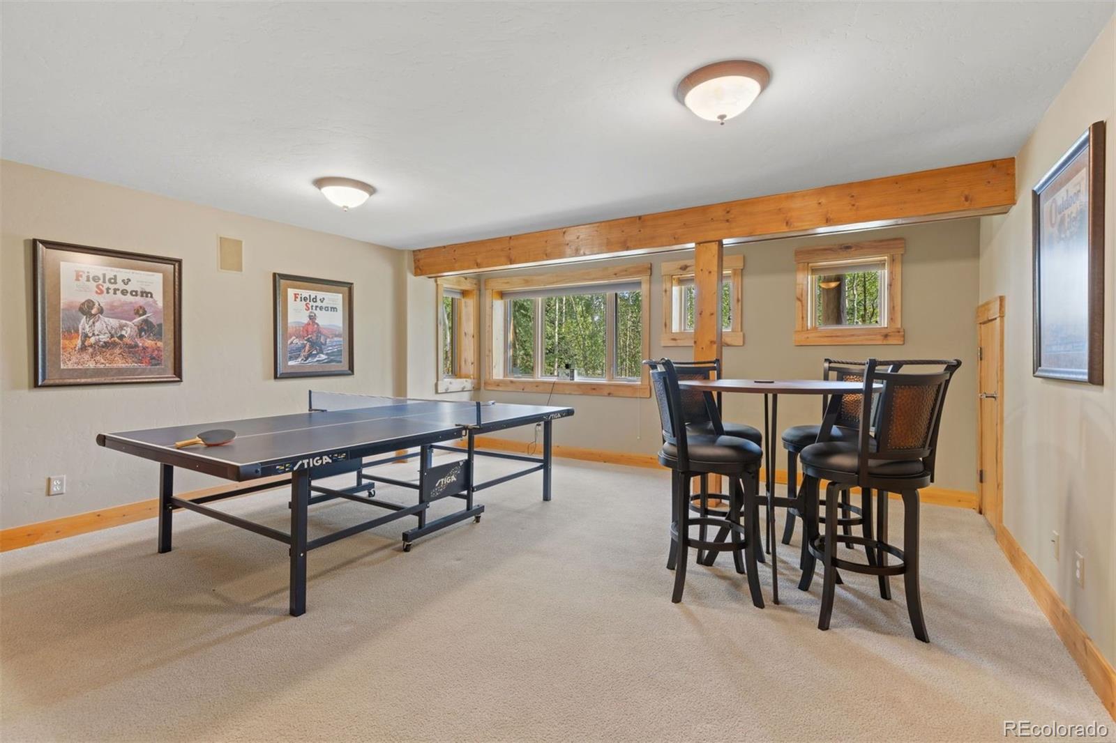 MLS Image #46 for 17  mallard lane,frisco, Colorado