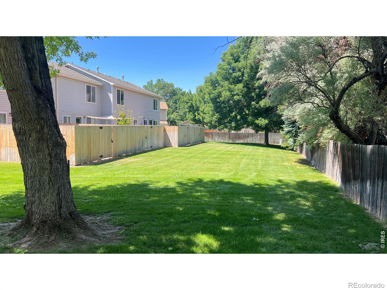 MLS Image #3 for 3440  windmill drive,fort collins, Colorado