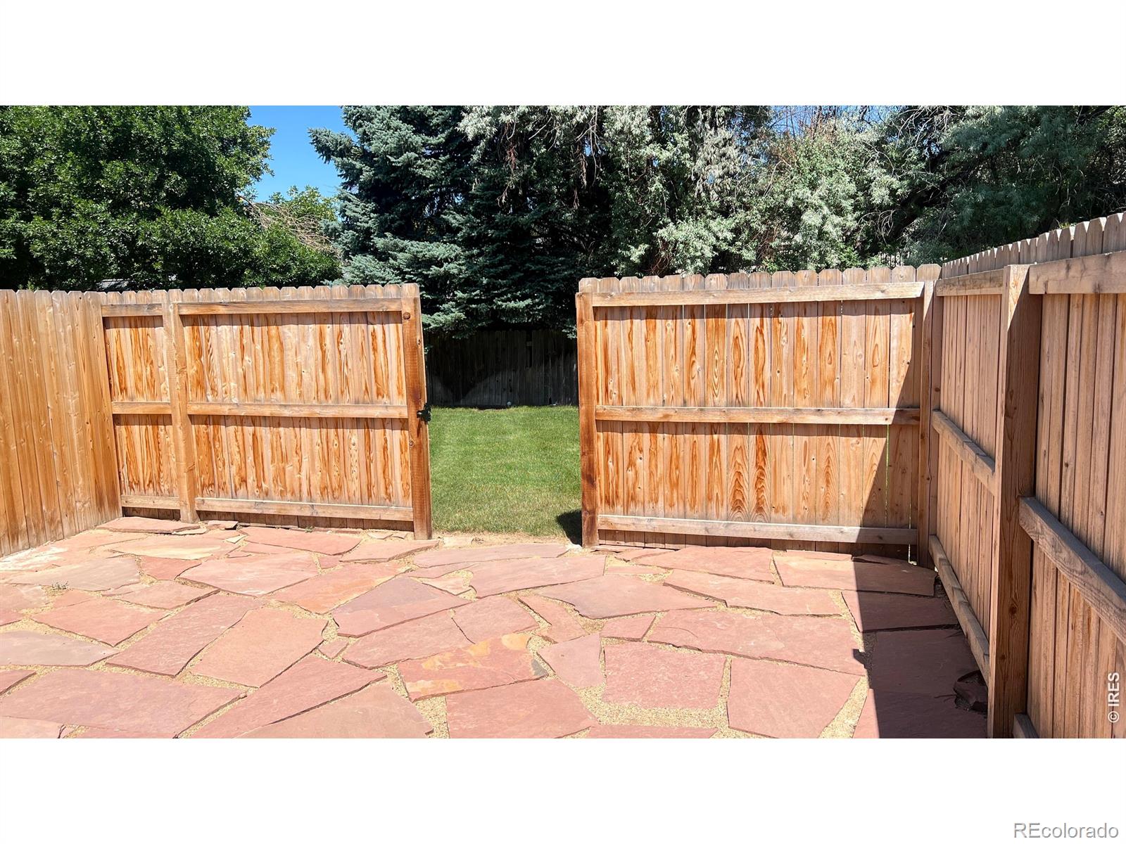 MLS Image #5 for 3440  windmill drive,fort collins, Colorado