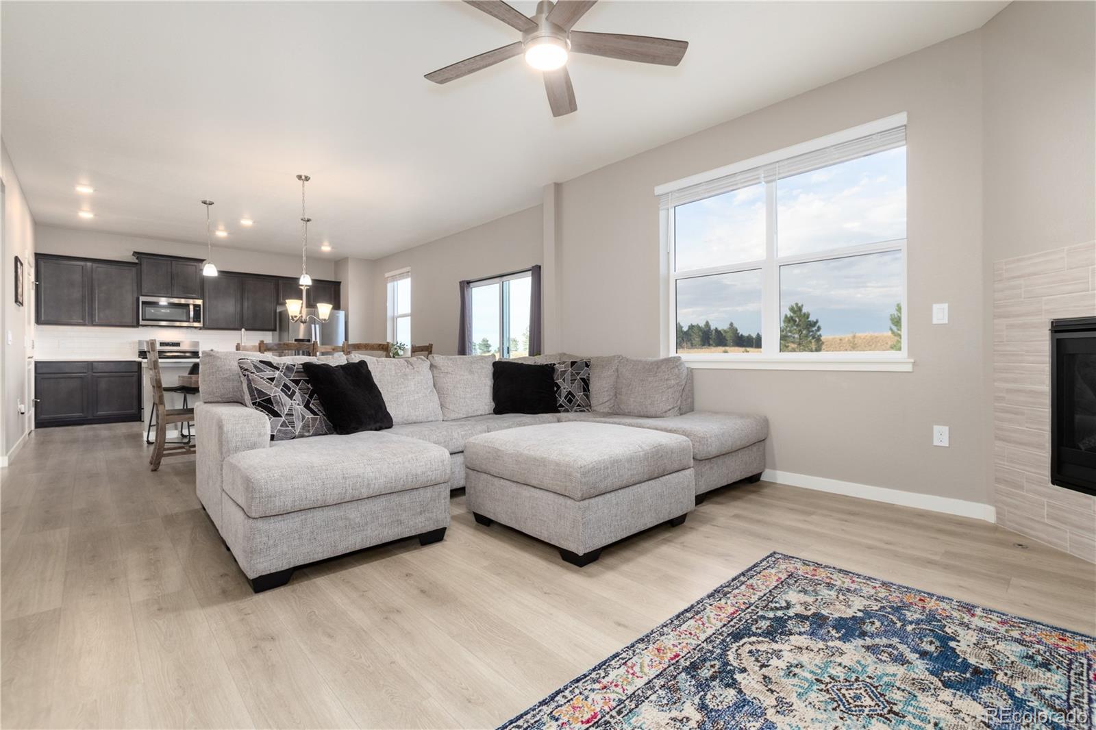 MLS Image #10 for 13956  scarlet sage lane,parker, Colorado