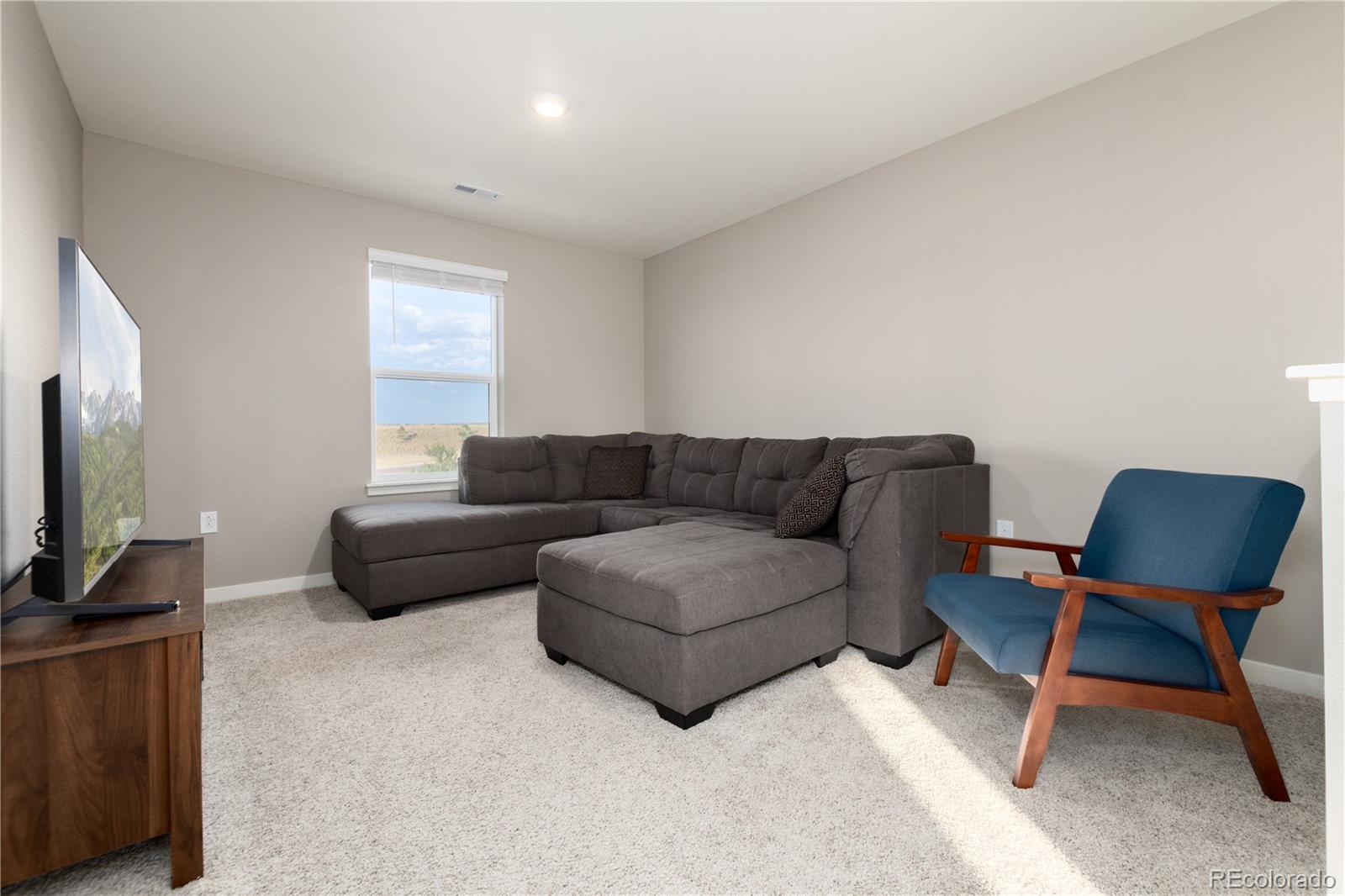 MLS Image #13 for 13956  scarlet sage lane,parker, Colorado