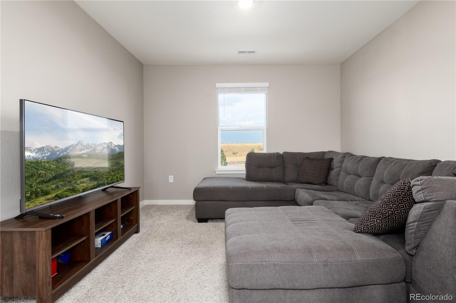 MLS Image #14 for 13956  scarlet sage lane,parker, Colorado