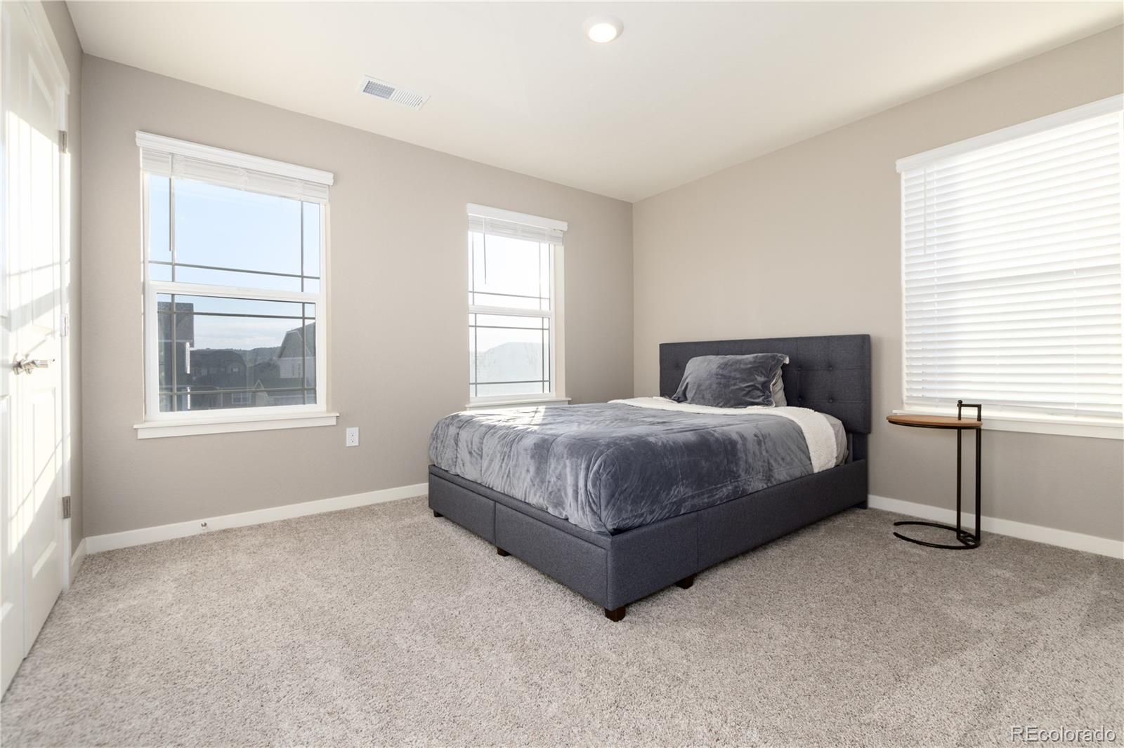 MLS Image #18 for 13956  scarlet sage lane,parker, Colorado