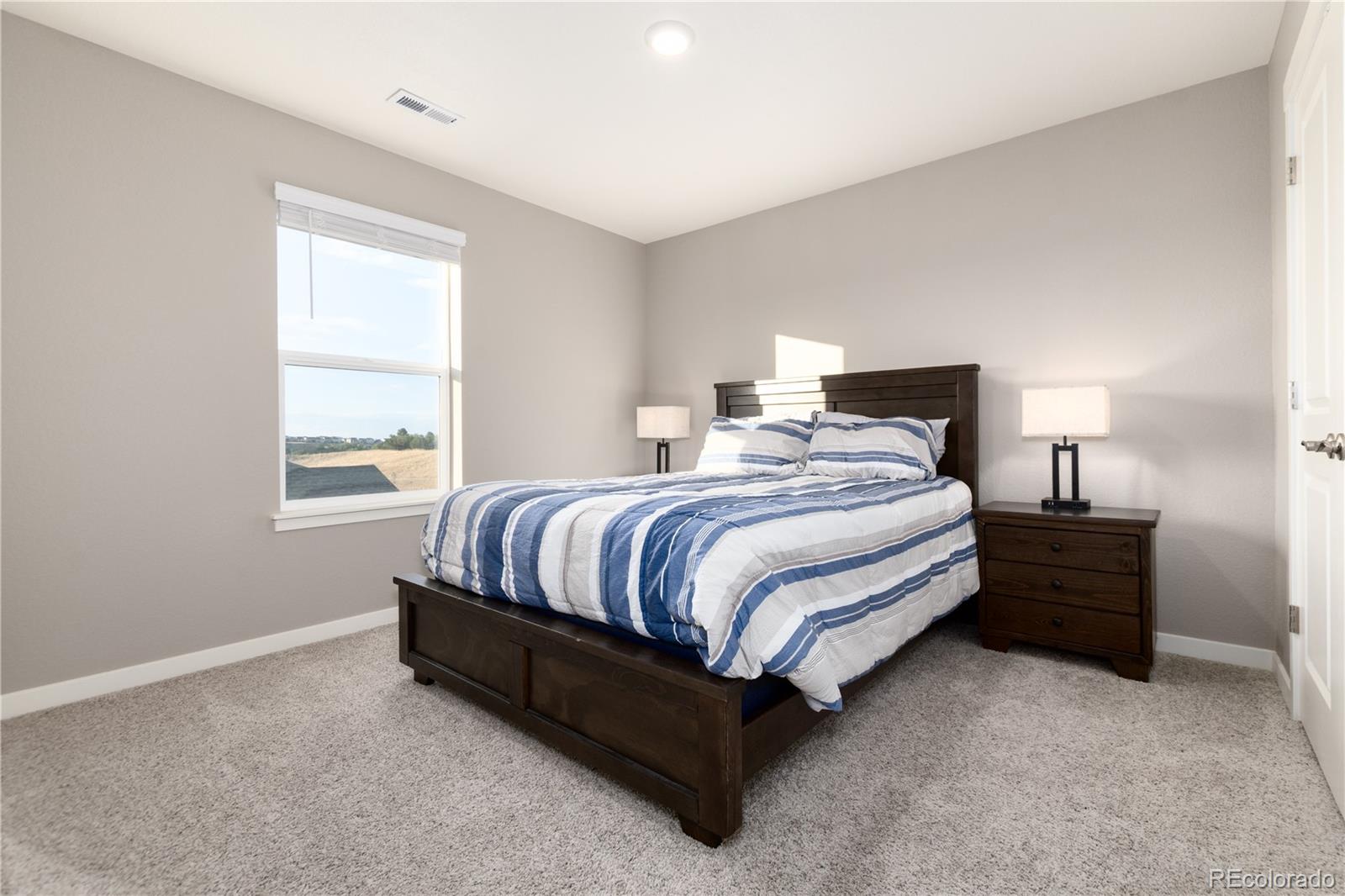 MLS Image #20 for 13956  scarlet sage lane,parker, Colorado