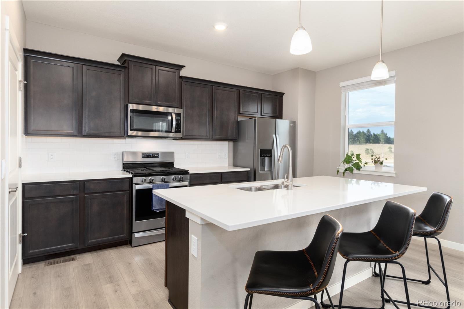 MLS Image #3 for 13956  scarlet sage lane,parker, Colorado