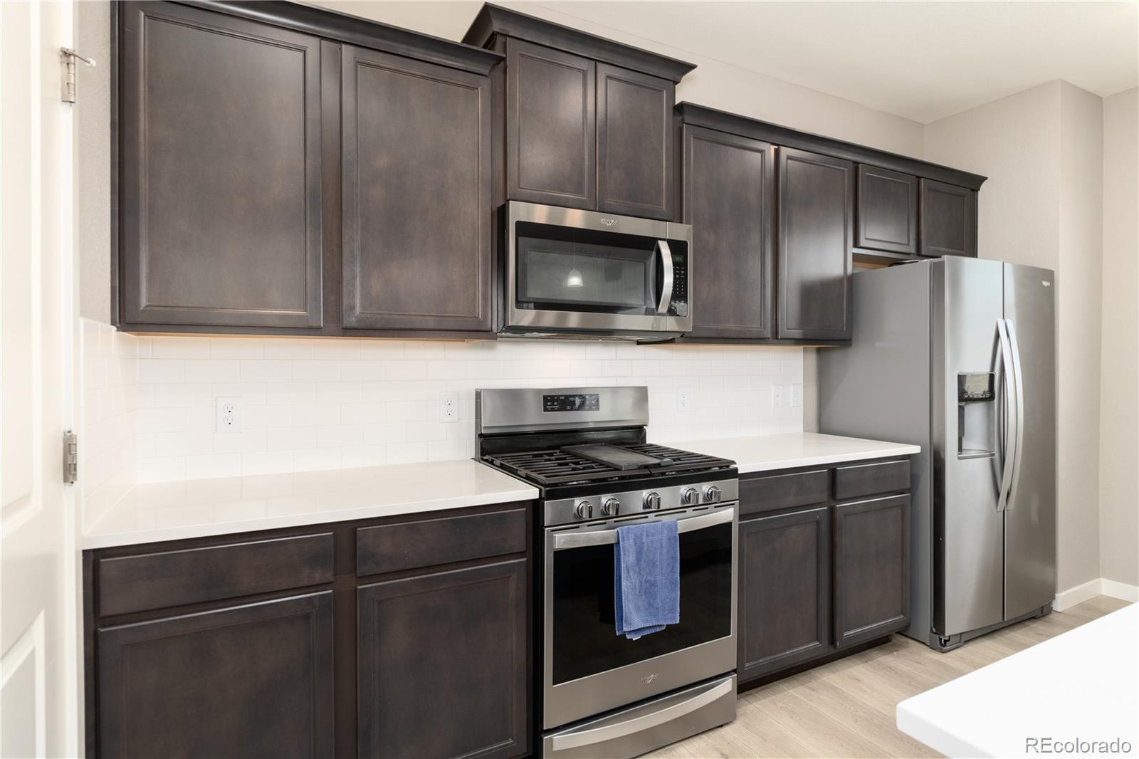 MLS Image #4 for 13956  scarlet sage lane,parker, Colorado