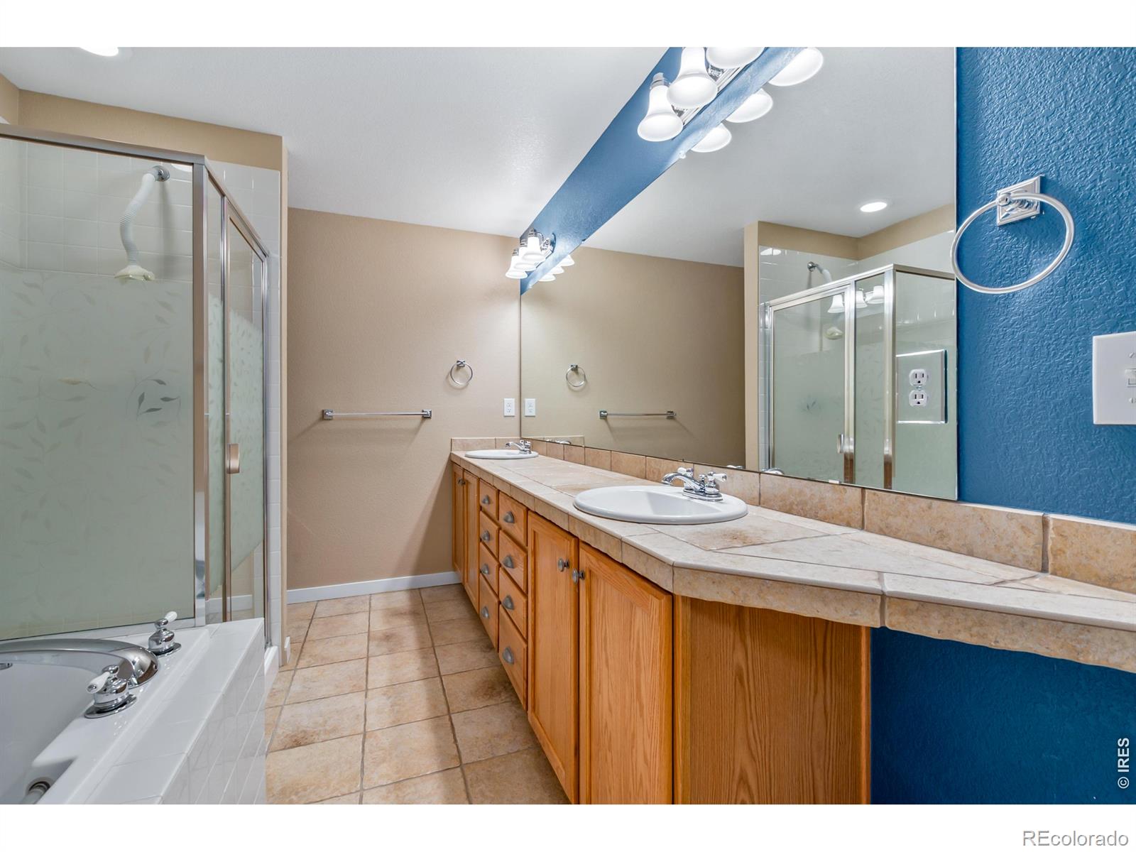 MLS Image #11 for 905  snowberry street,longmont, Colorado
