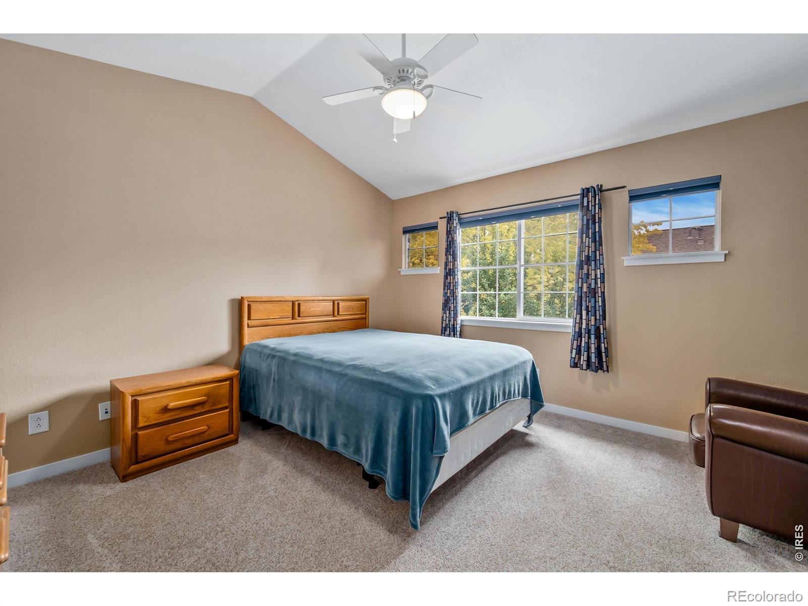 MLS Image #9 for 905  snowberry street,longmont, Colorado