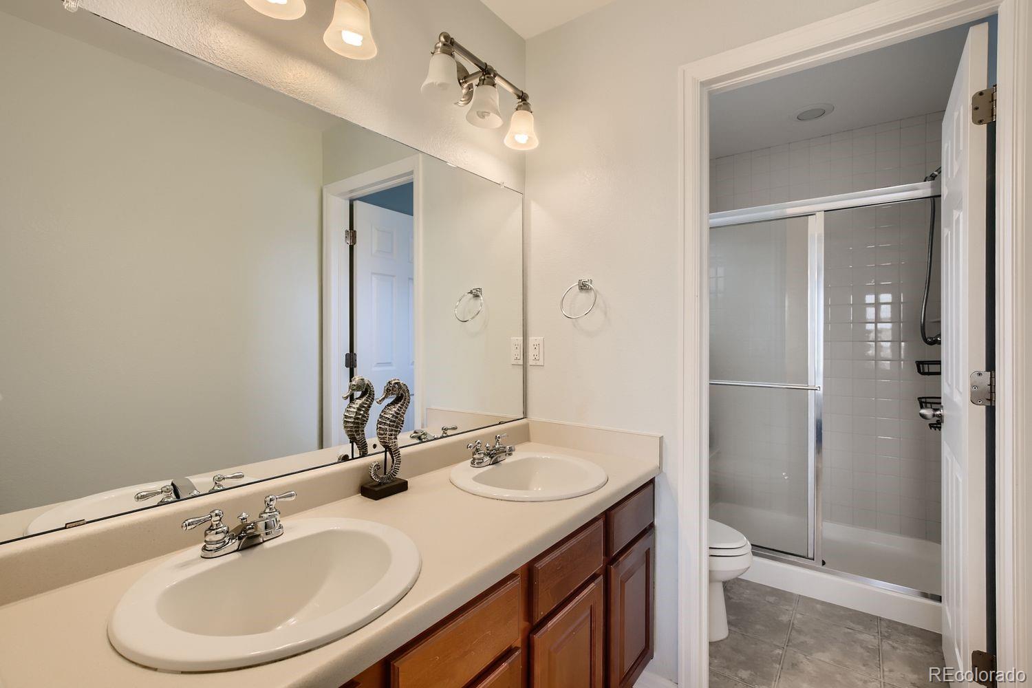 MLS Image #8 for 3045  open sky way,castle rock, Colorado