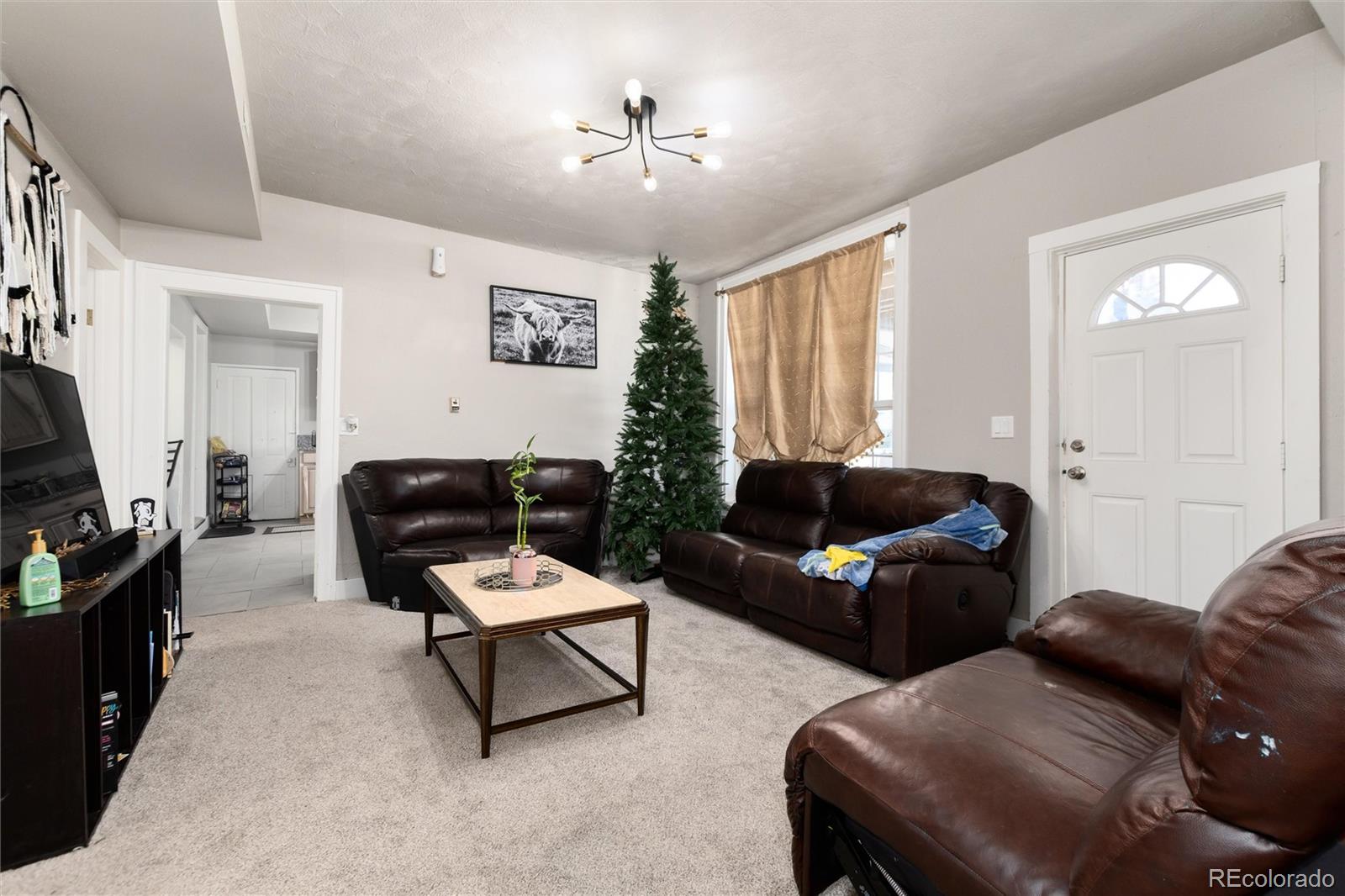 MLS Image #30 for 550  castello avenue,fairplay, Colorado