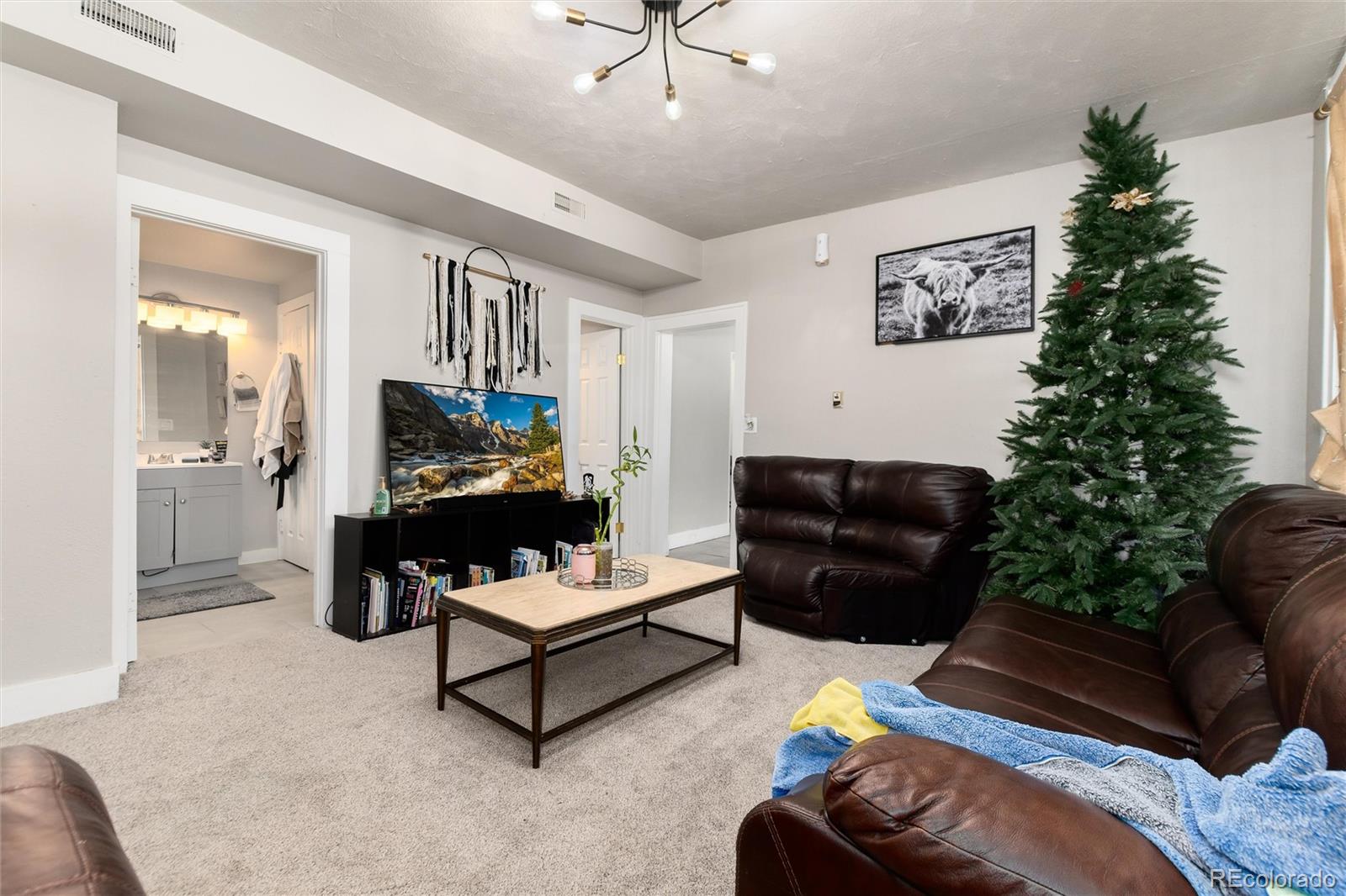 MLS Image #31 for 550  castello avenue,fairplay, Colorado