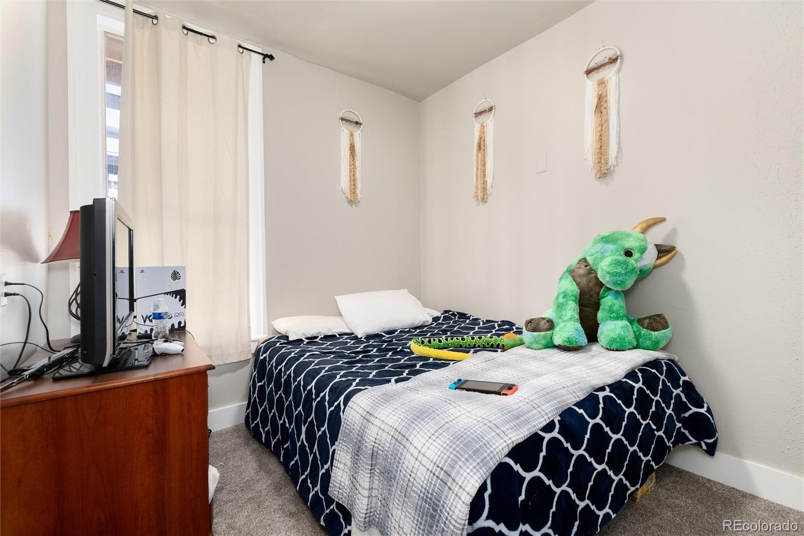 MLS Image #32 for 550  castello avenue,fairplay, Colorado