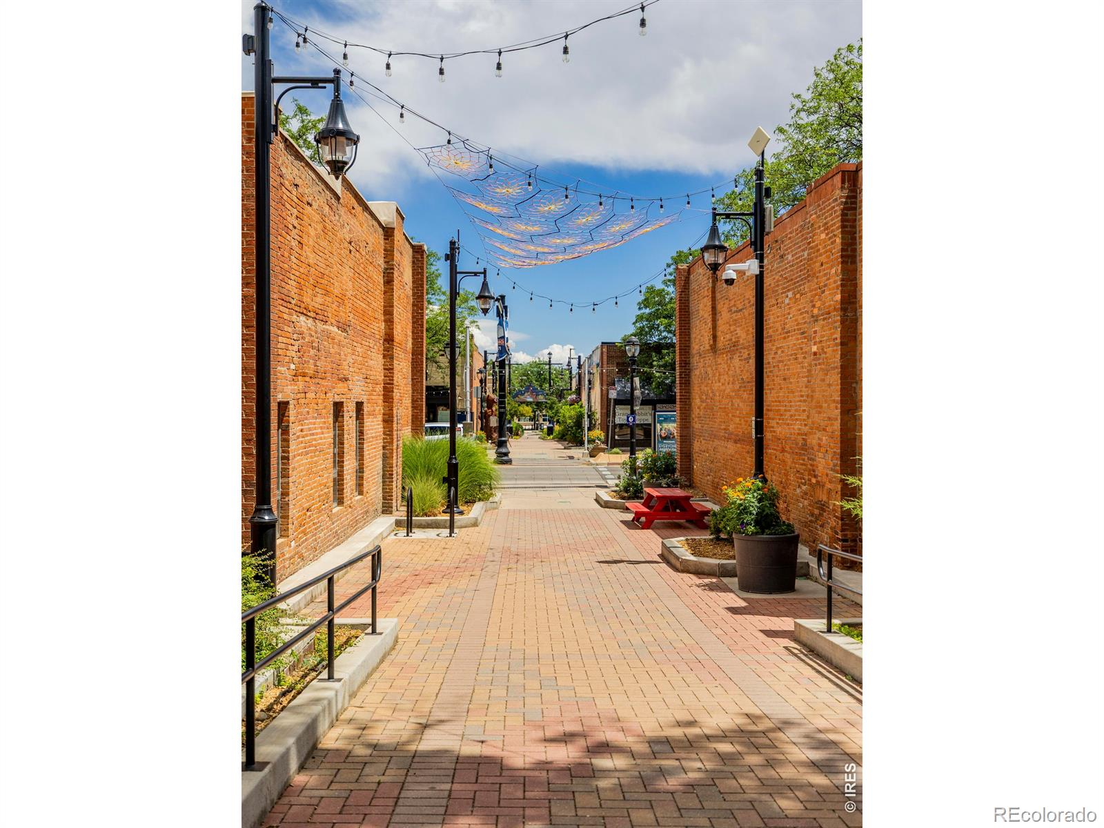 MLS Image #37 for 623  terry street,longmont, Colorado