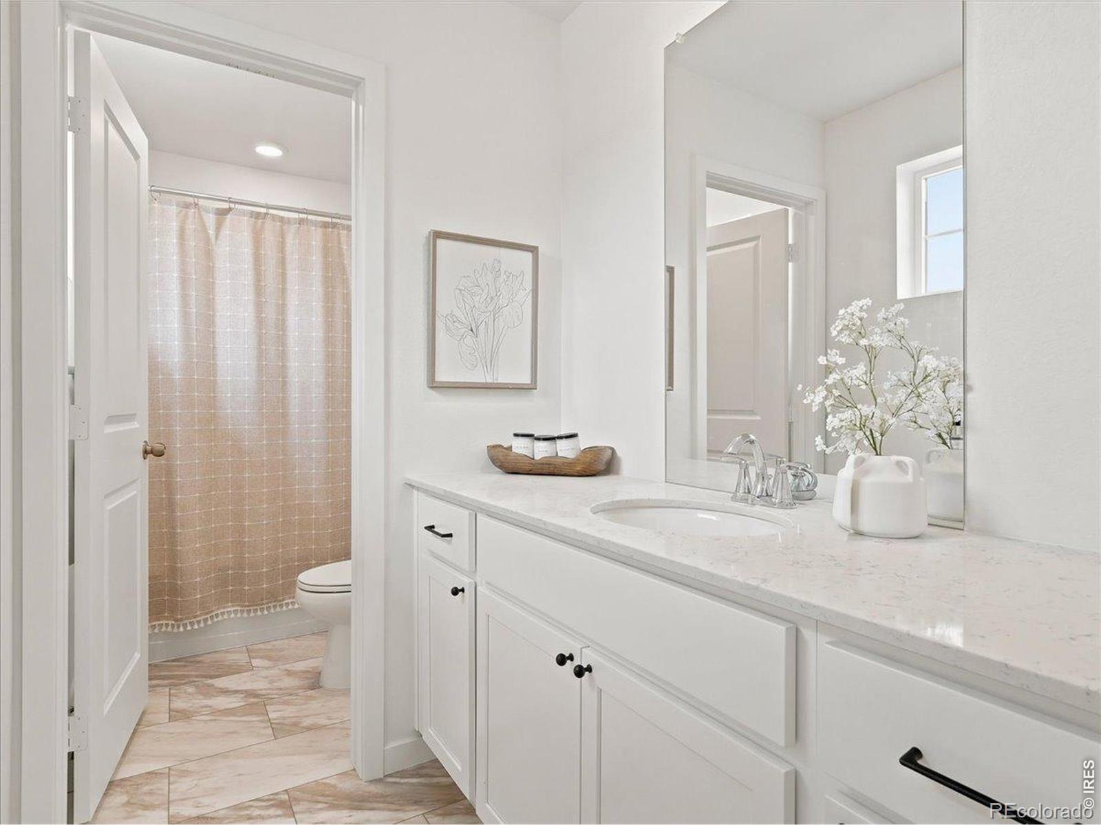 MLS Image #10 for 5564  fleur de lis lane,timnath, Colorado
