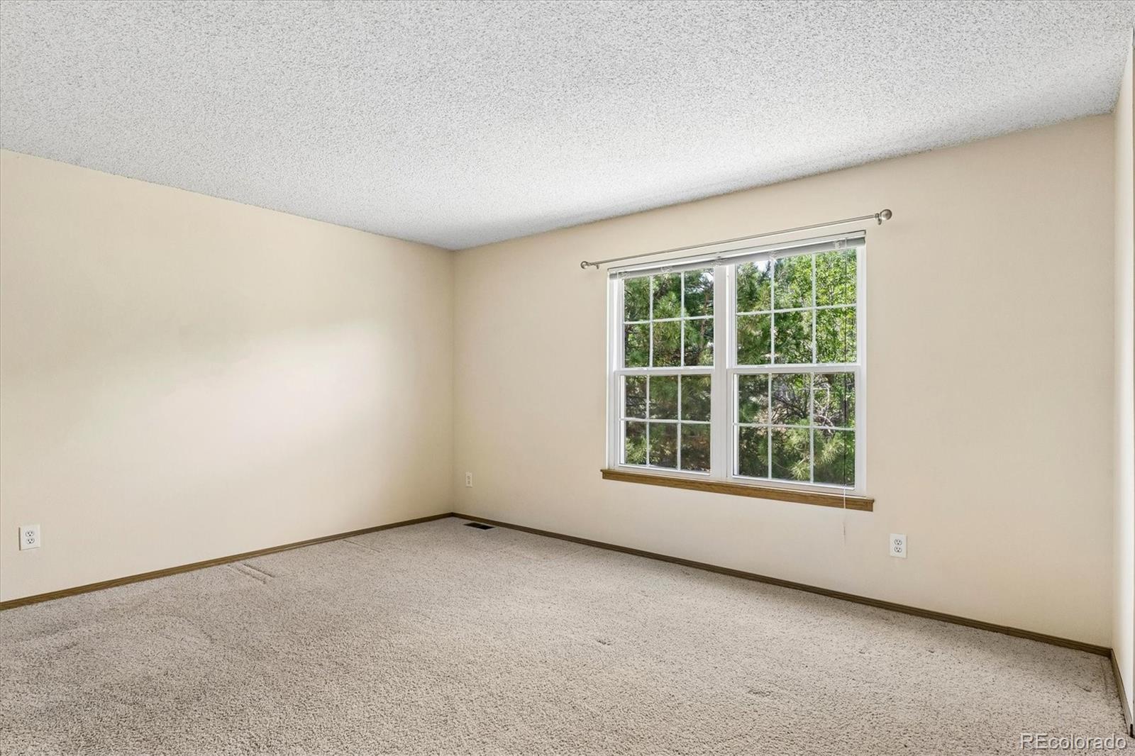 MLS Image #14 for 19719  rosewood court,parker, Colorado