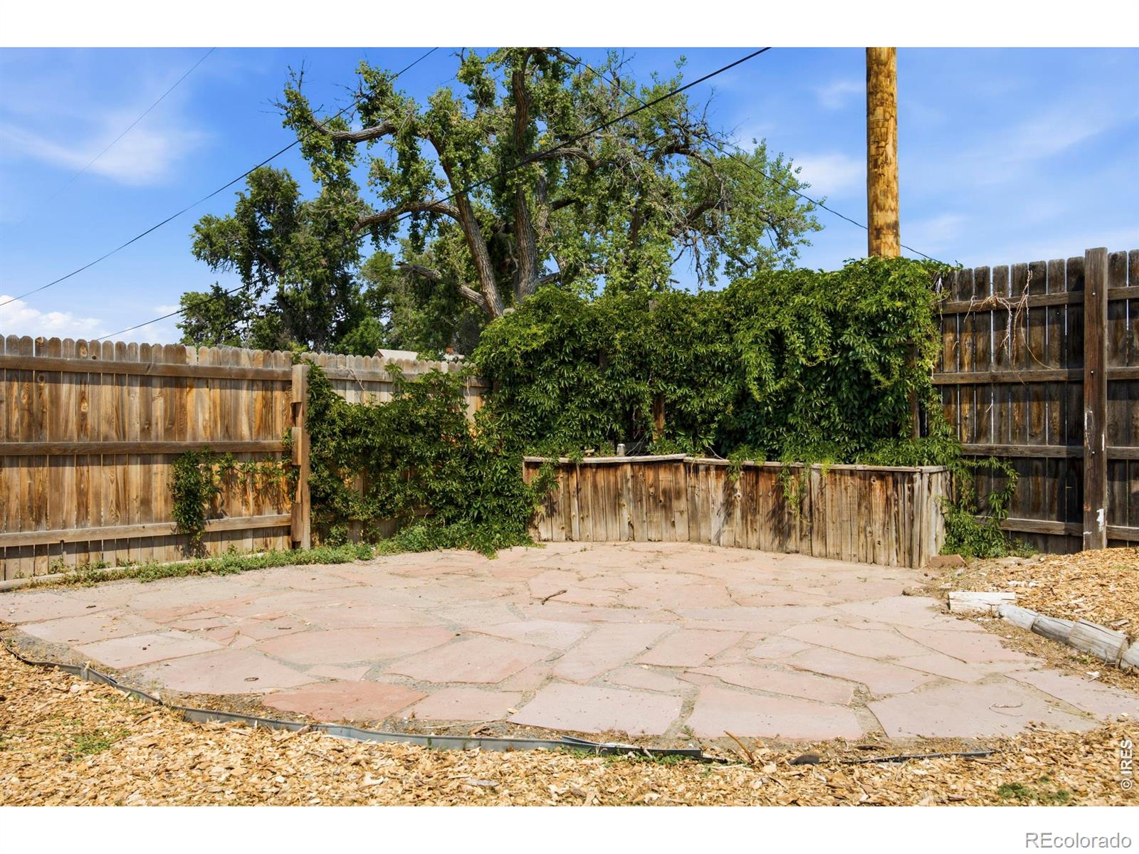 MLS Image #21 for 201  ruth avenue,severance, Colorado