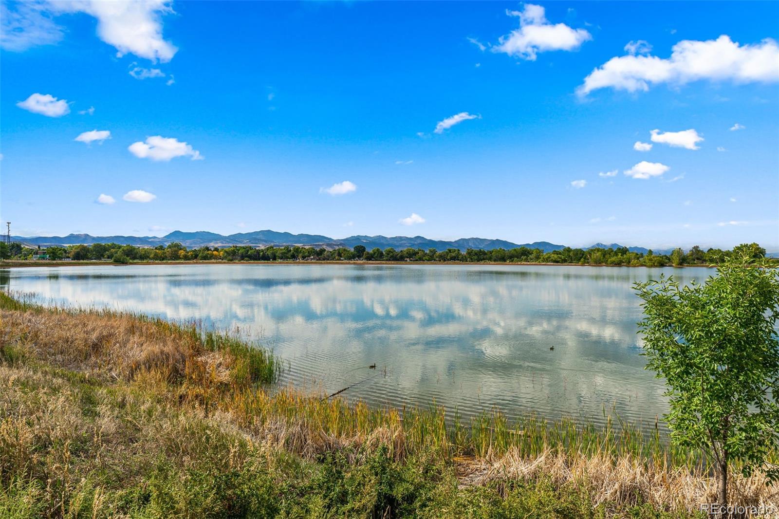 MLS Image #36 for 2520  carr court,lakewood, Colorado