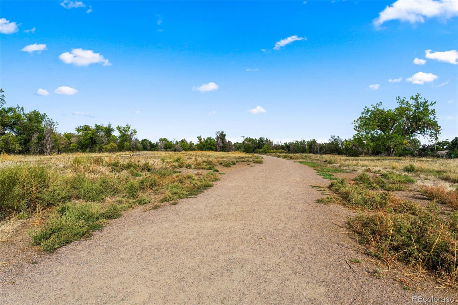 MLS Image #38 for 2520  carr court,lakewood, Colorado