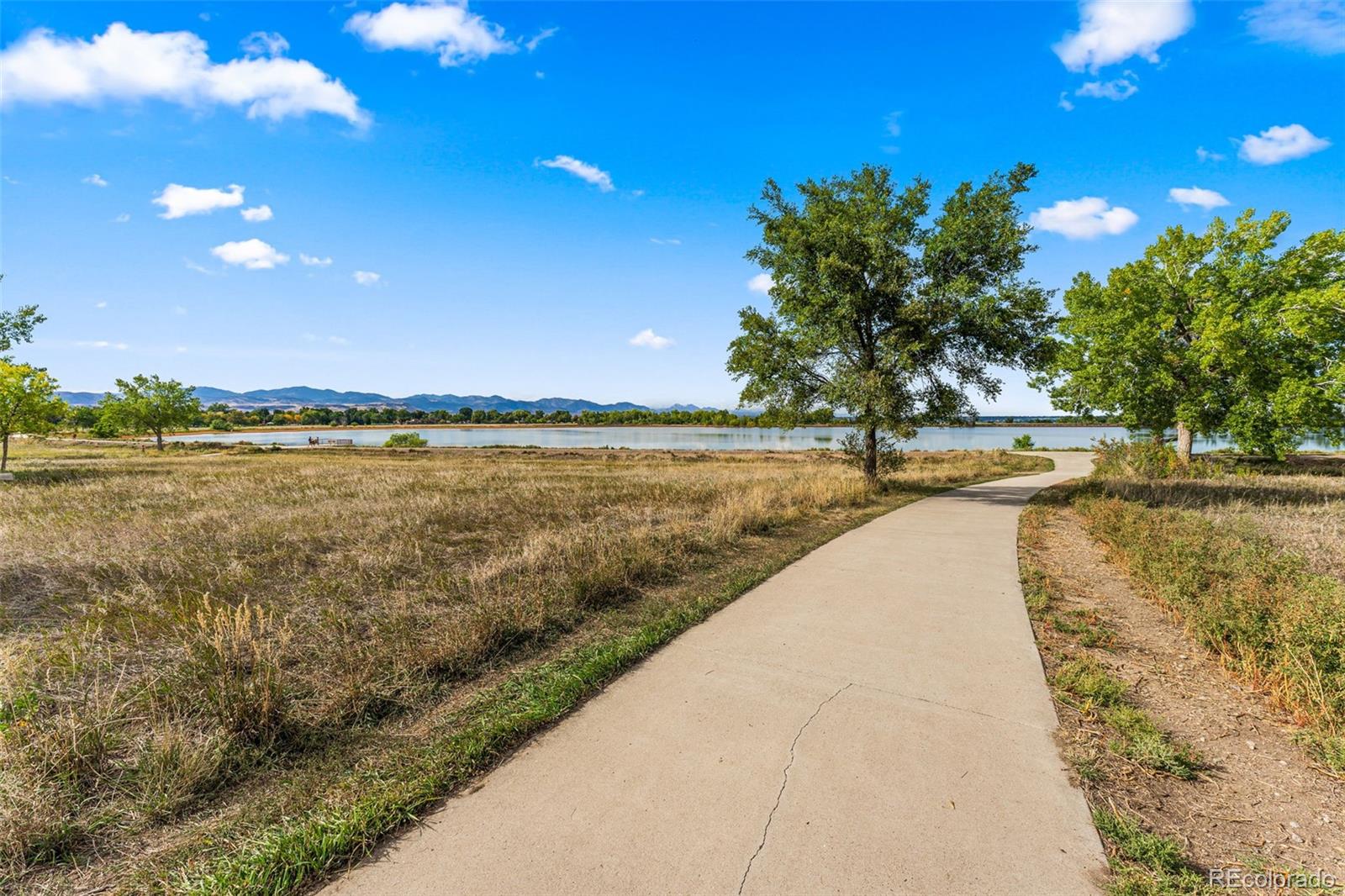 MLS Image #39 for 2520  carr court,lakewood, Colorado