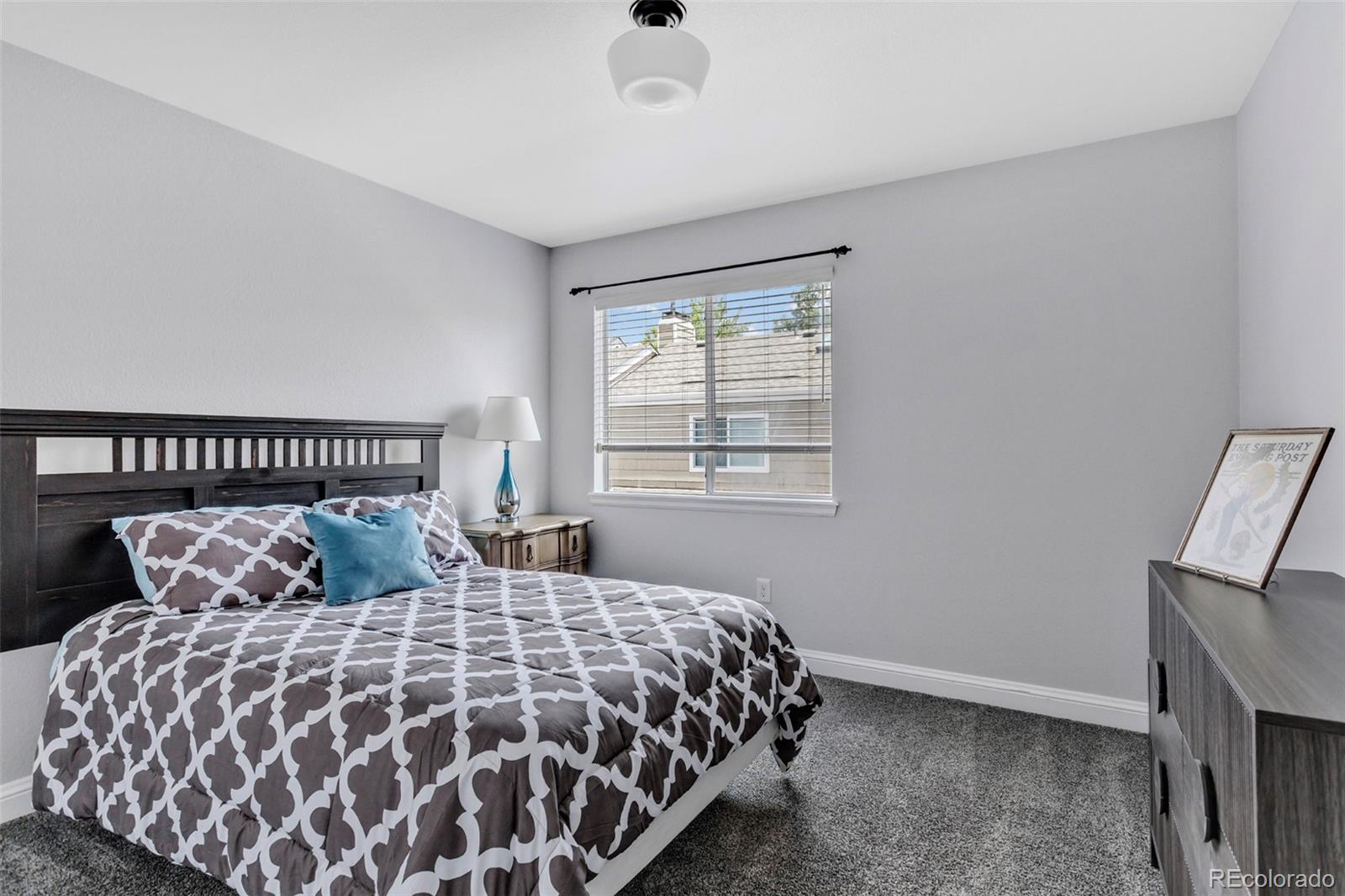 MLS Image #17 for 112  blue spruce court,littleton, Colorado