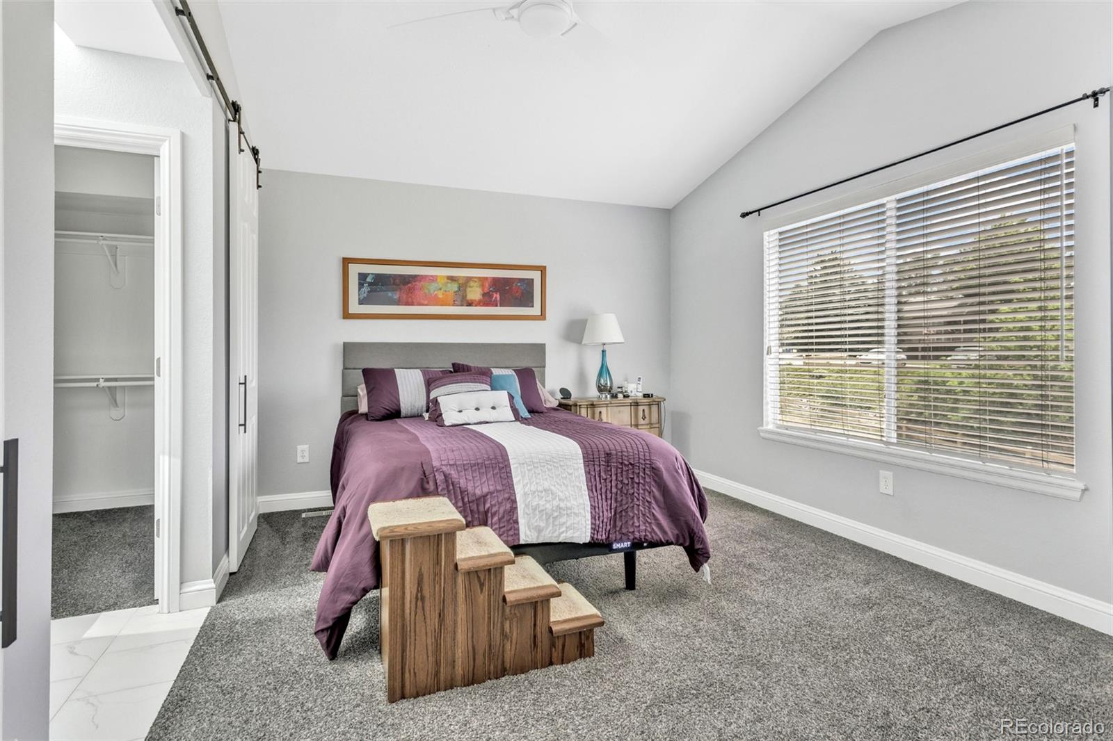 MLS Image #20 for 112  blue spruce court,littleton, Colorado