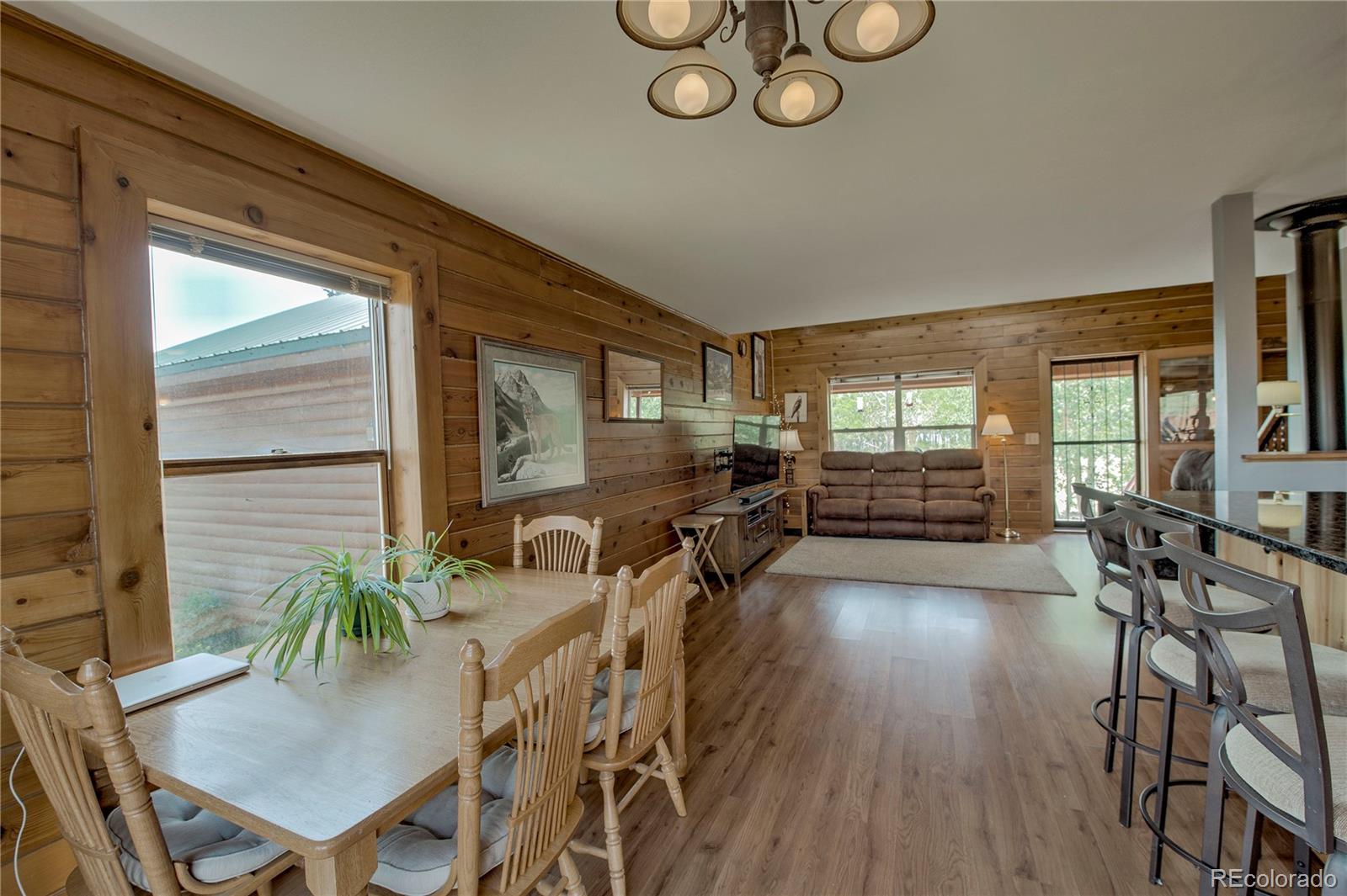 MLS Image #11 for 653  vine road,fairplay, Colorado