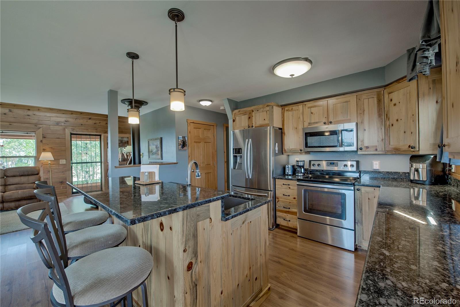 MLS Image #12 for 653  vine road,fairplay, Colorado