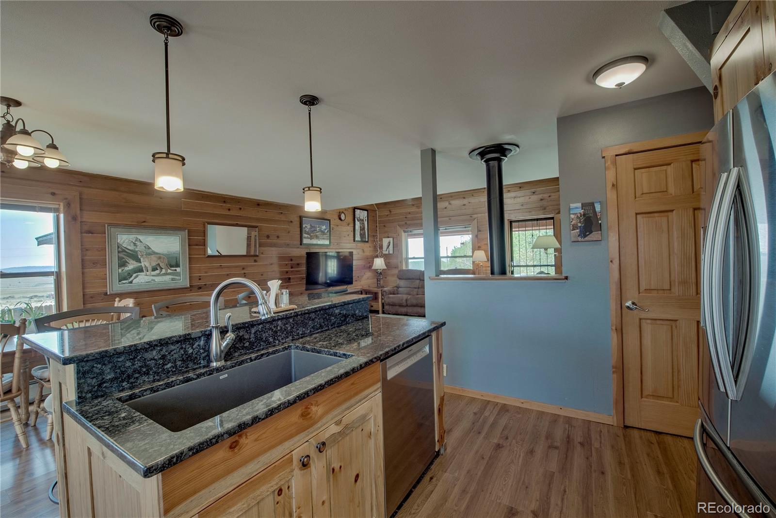 MLS Image #14 for 653  vine road,fairplay, Colorado