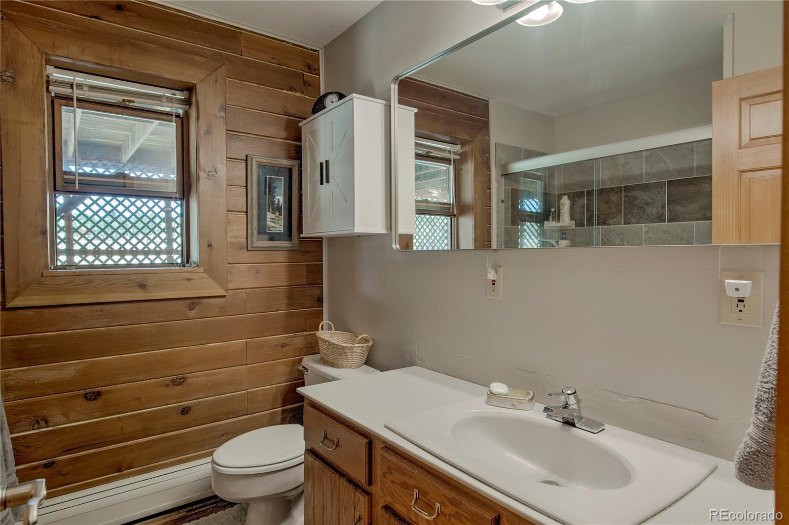 MLS Image #16 for 653  vine road,fairplay, Colorado