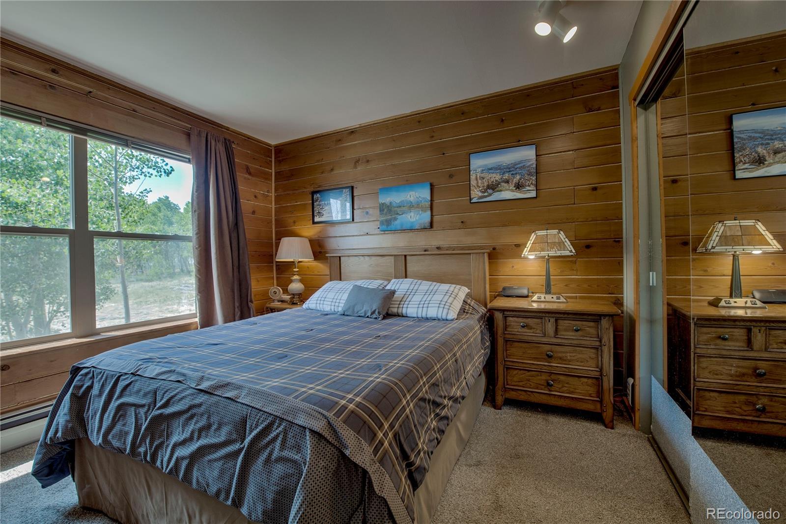 MLS Image #19 for 653  vine road,fairplay, Colorado