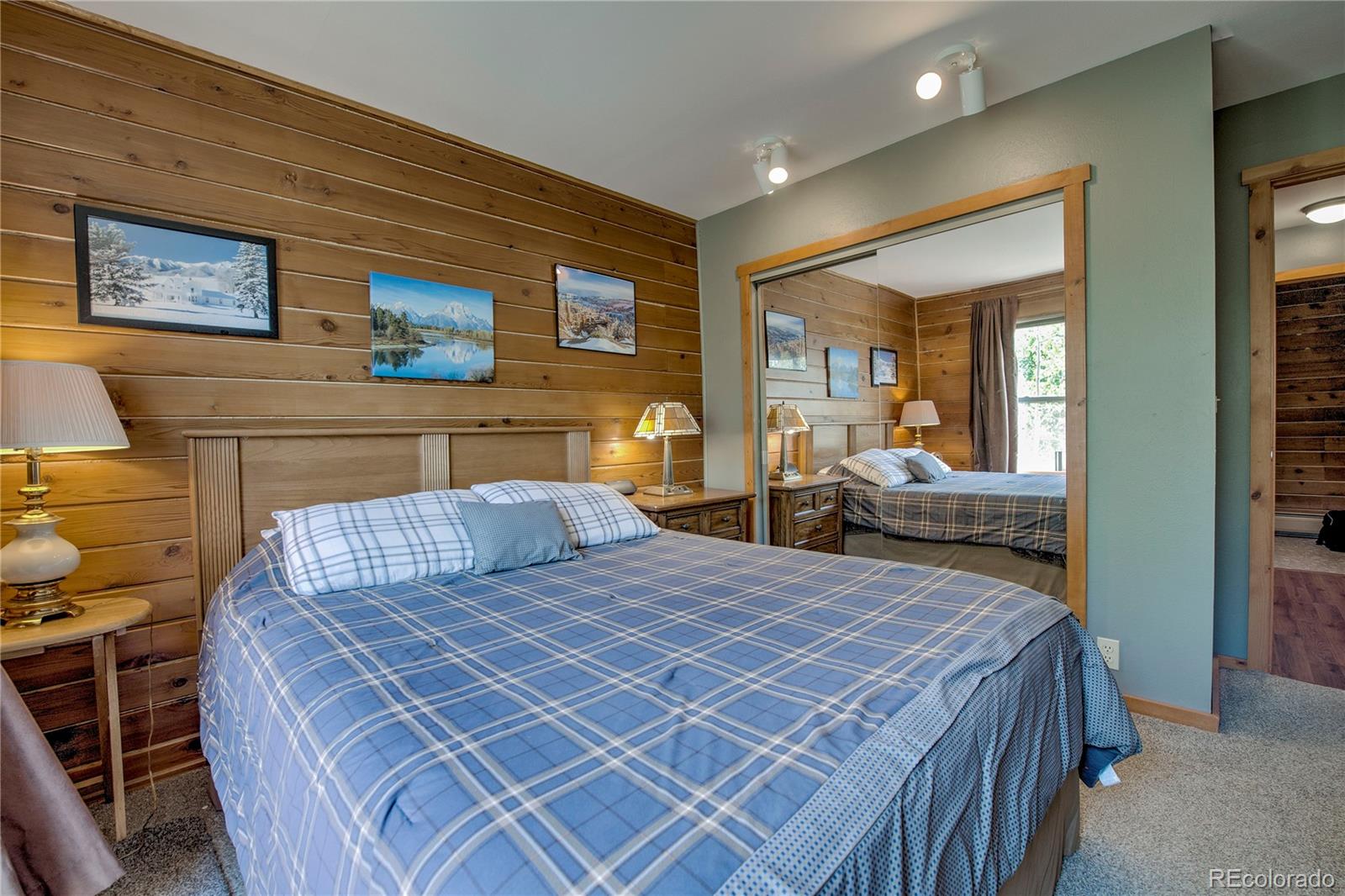 MLS Image #20 for 653  vine road,fairplay, Colorado