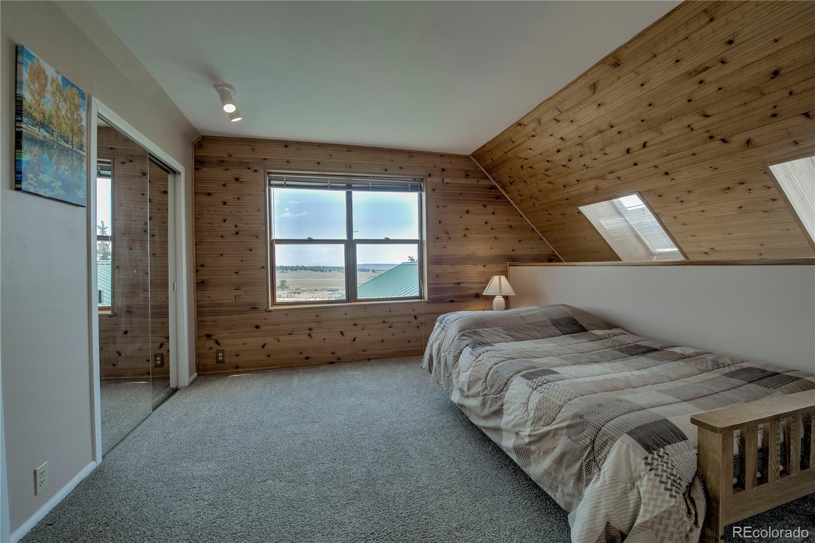 MLS Image #21 for 653  vine road,fairplay, Colorado