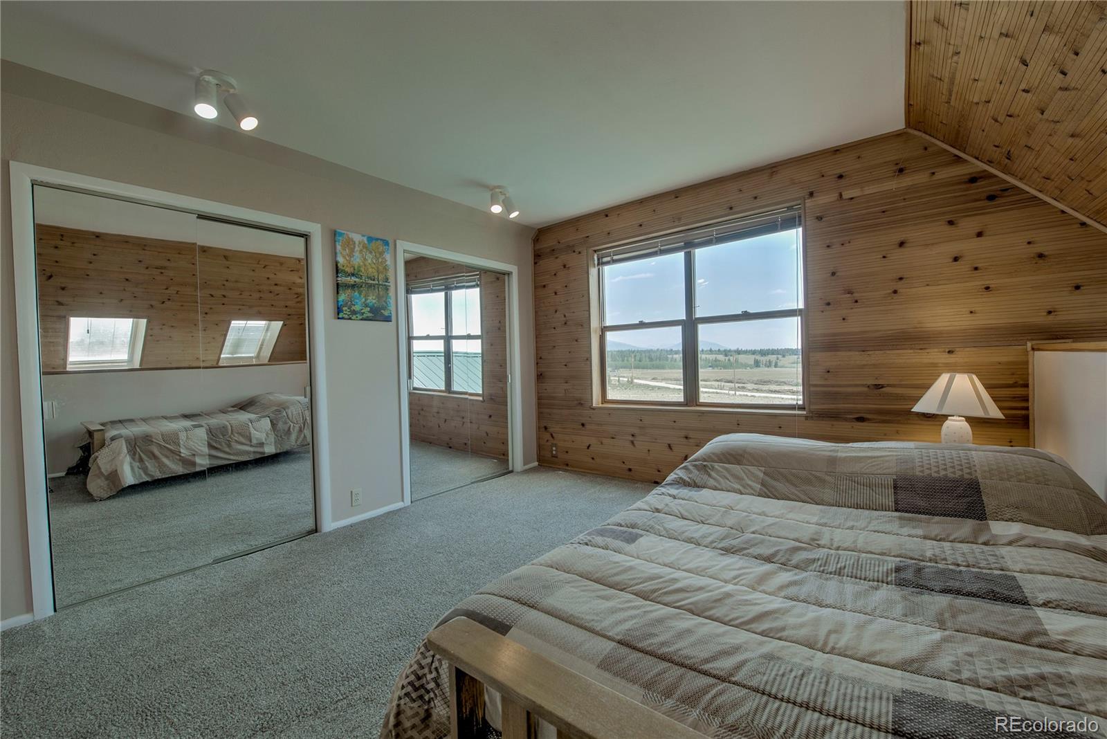 MLS Image #22 for 653  vine road,fairplay, Colorado