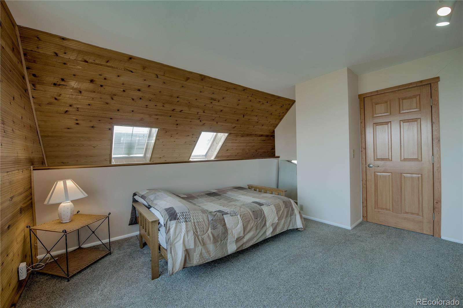 MLS Image #24 for 653  vine road,fairplay, Colorado