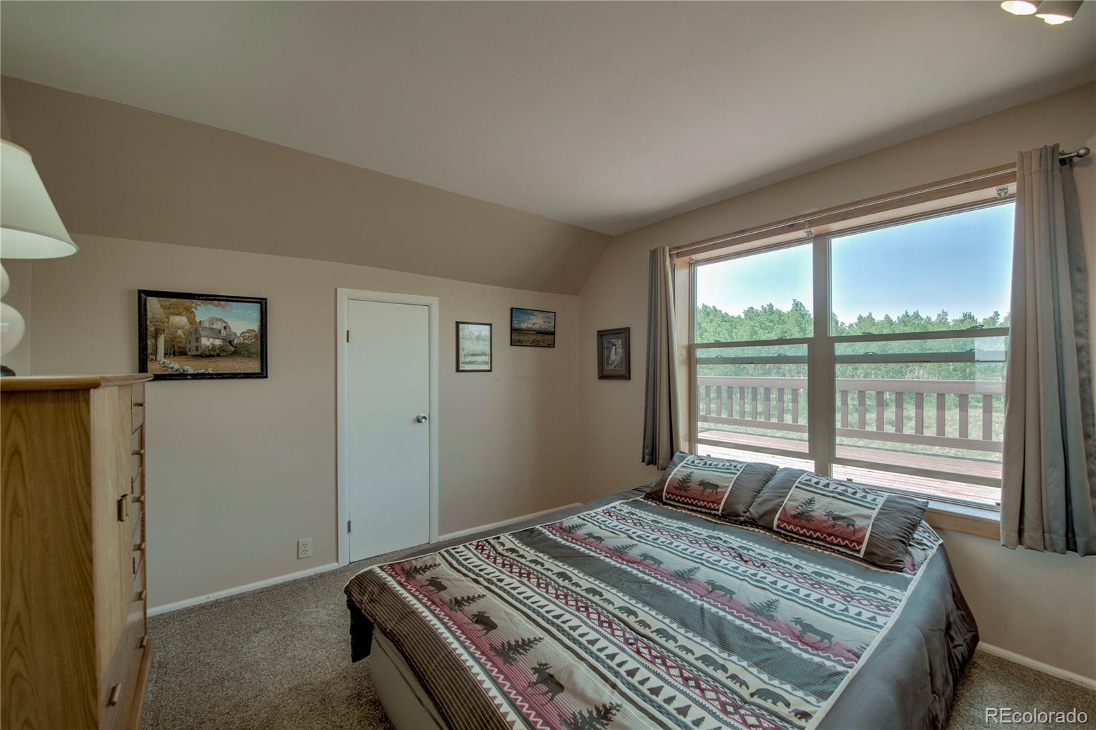MLS Image #25 for 653  vine road,fairplay, Colorado