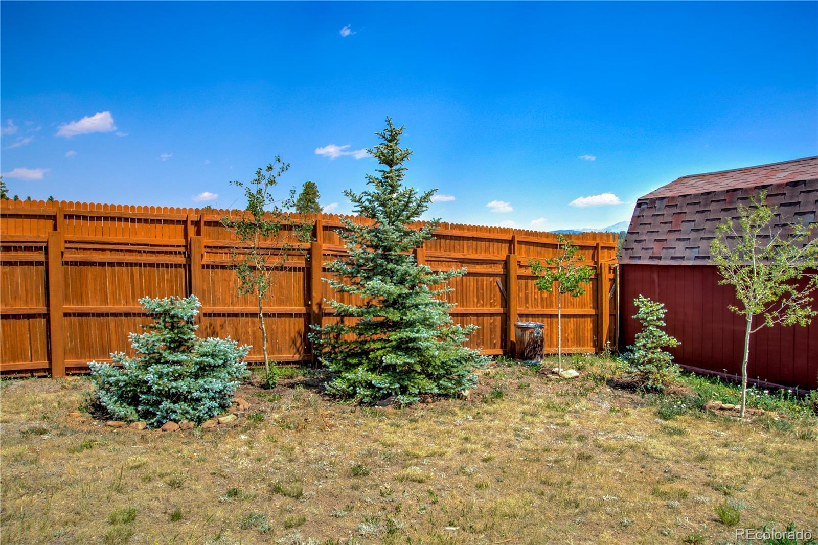 MLS Image #37 for 653  vine road,fairplay, Colorado