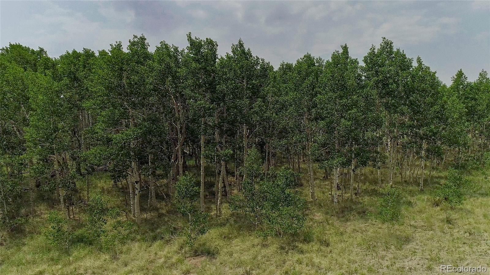 MLS Image #48 for 653  vine road,fairplay, Colorado