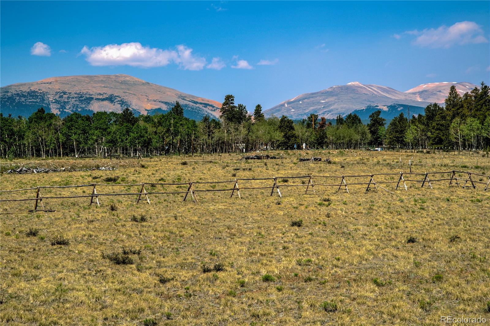 MLS Image #5 for 653  vine road,fairplay, Colorado