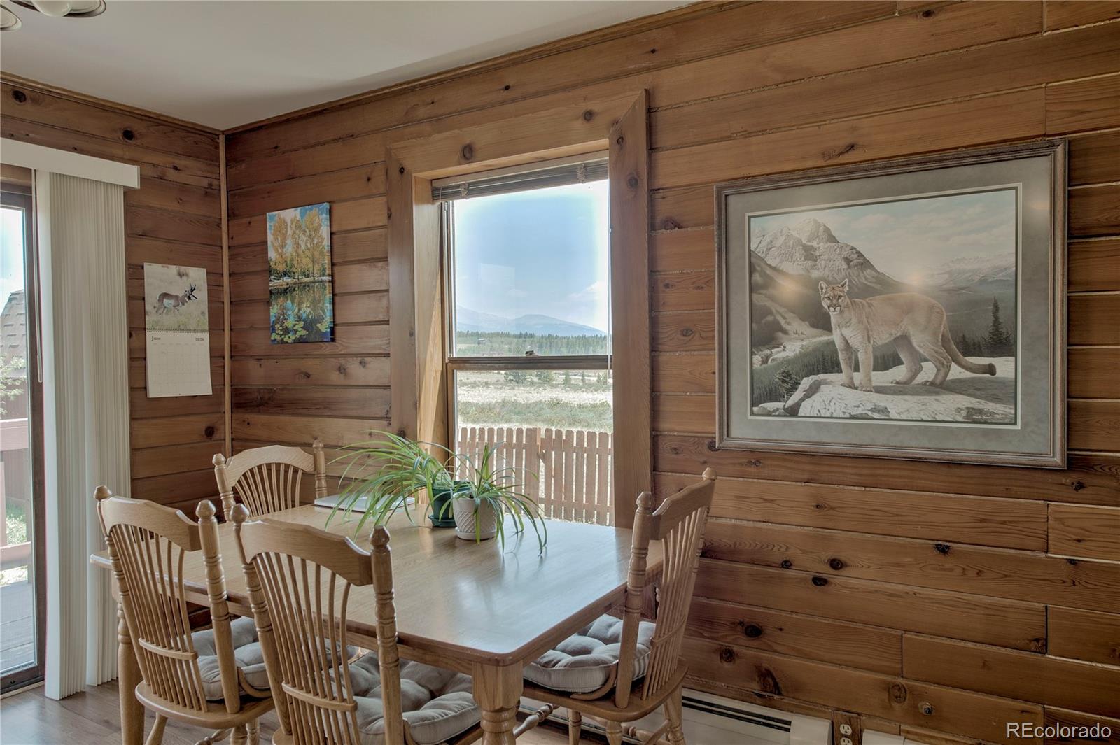 MLS Image #9 for 653  vine road,fairplay, Colorado