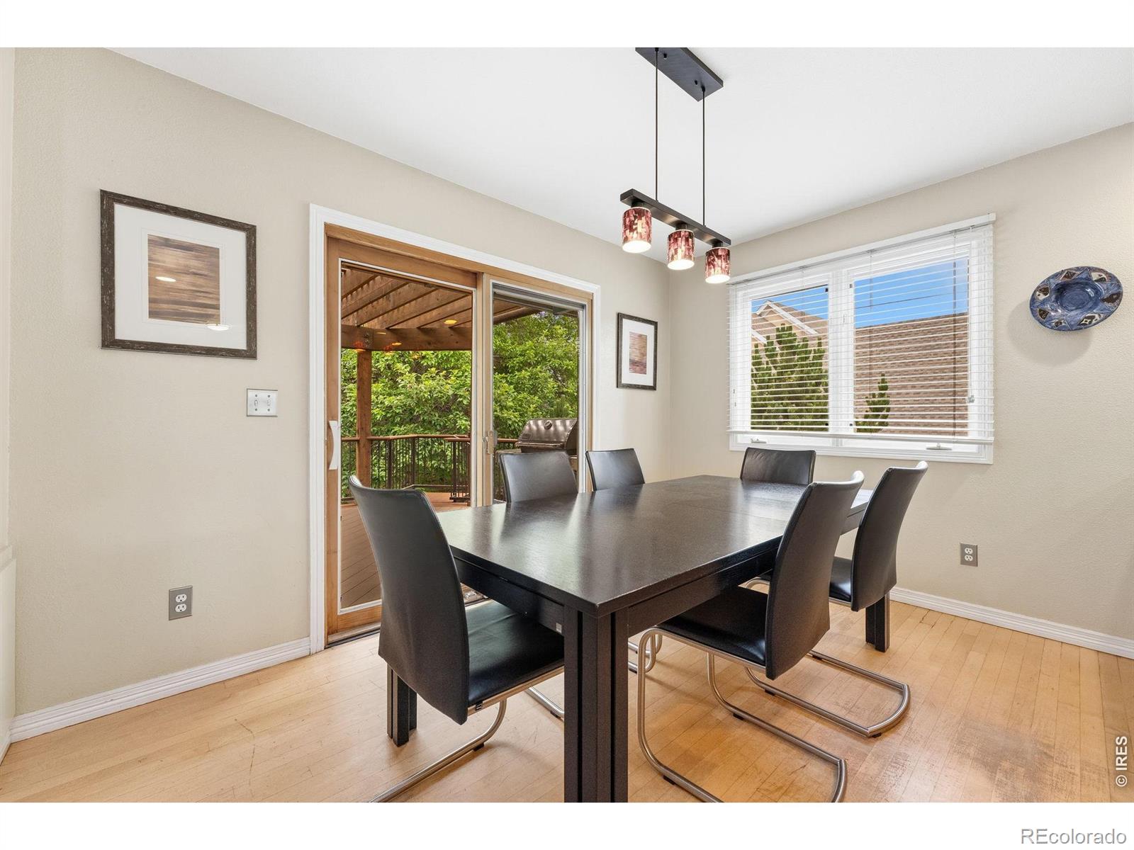 MLS Image #20 for 1431  cactus court,fort collins, Colorado
