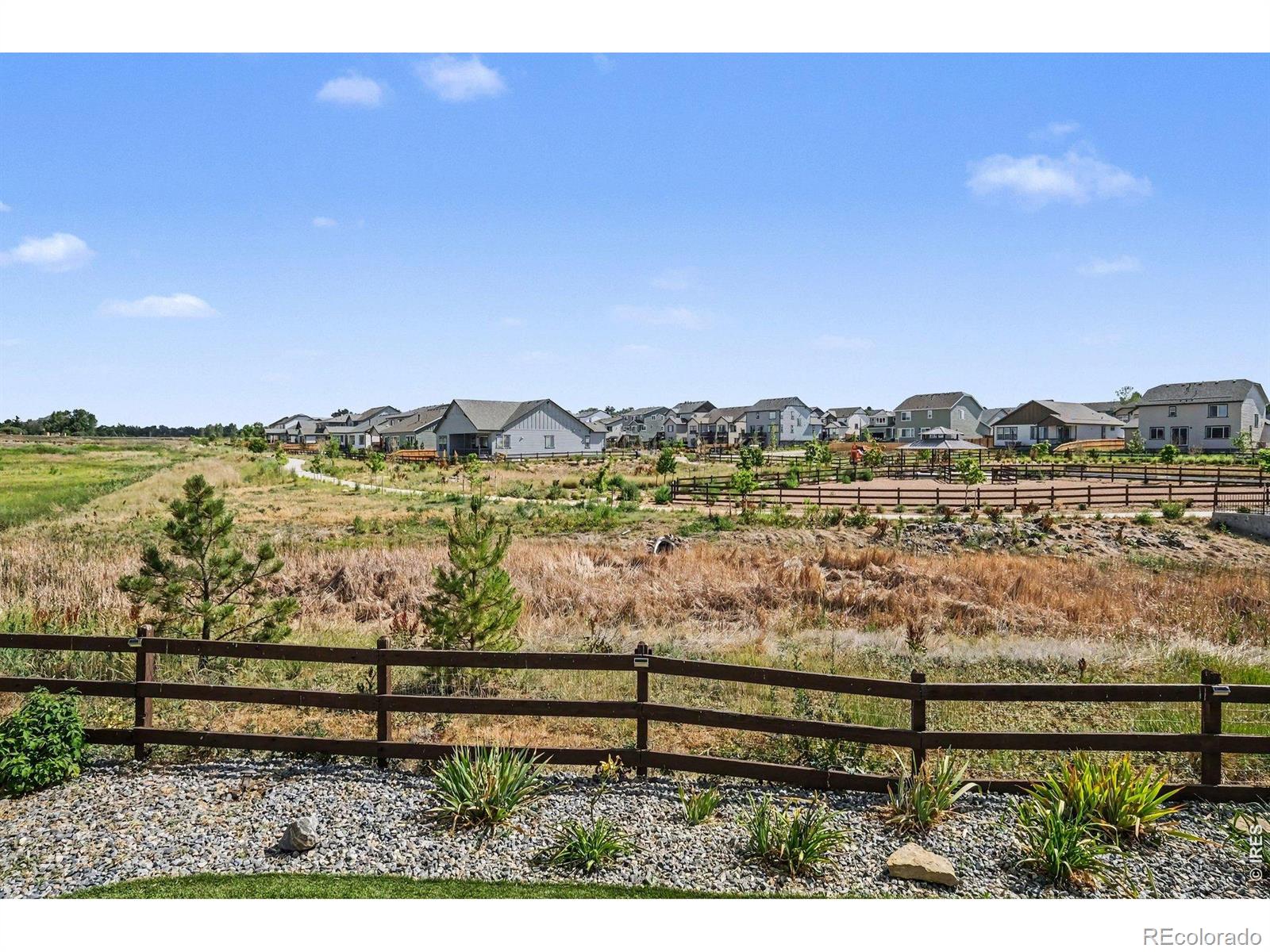 MLS Image #18 for 3371  chilton drive,mead, Colorado