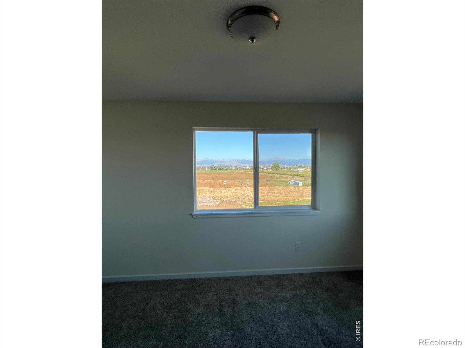 MLS Image #11 for 2305  apple street,longmont, Colorado