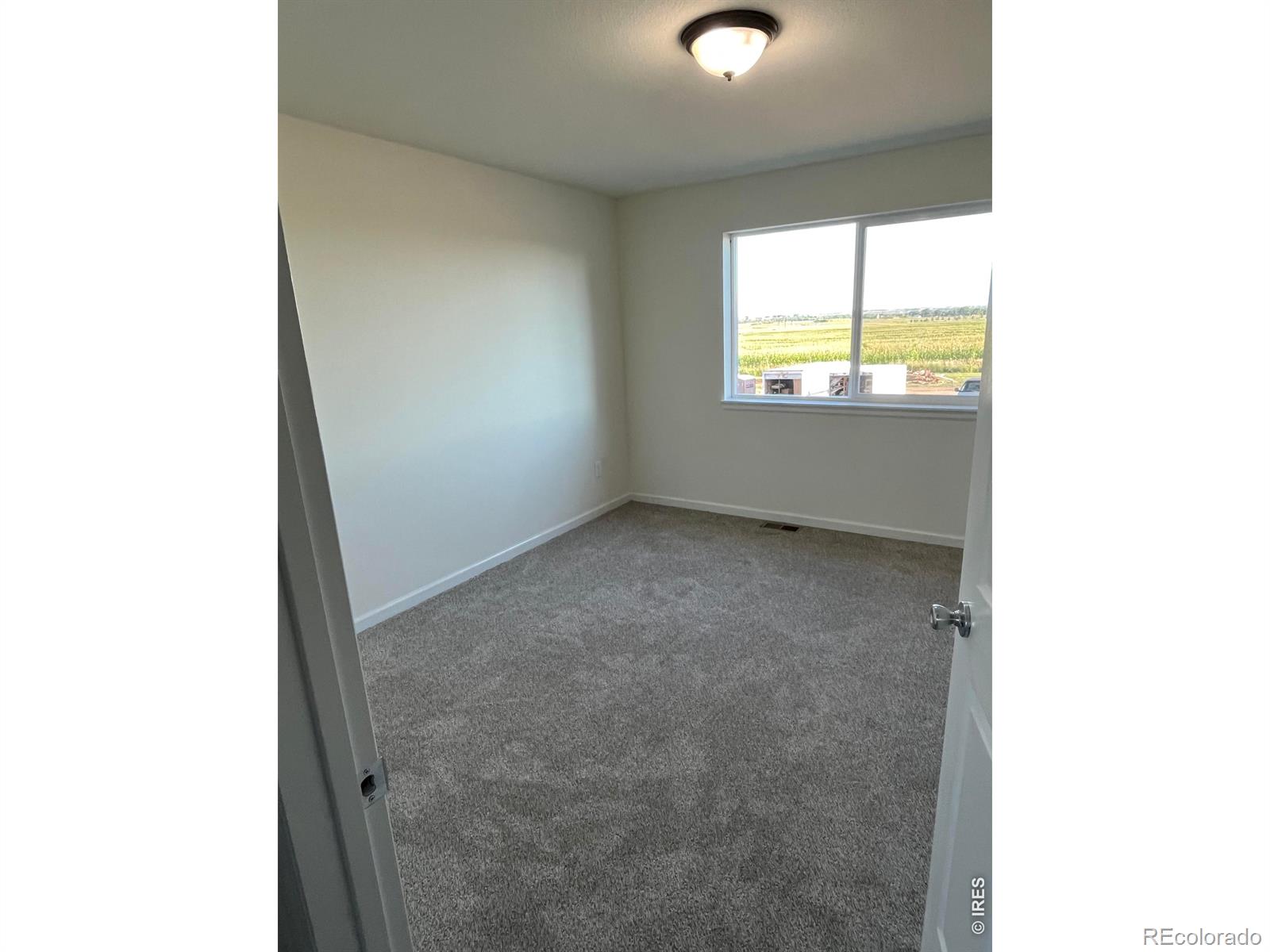 MLS Image #13 for 2305  apple street,longmont, Colorado