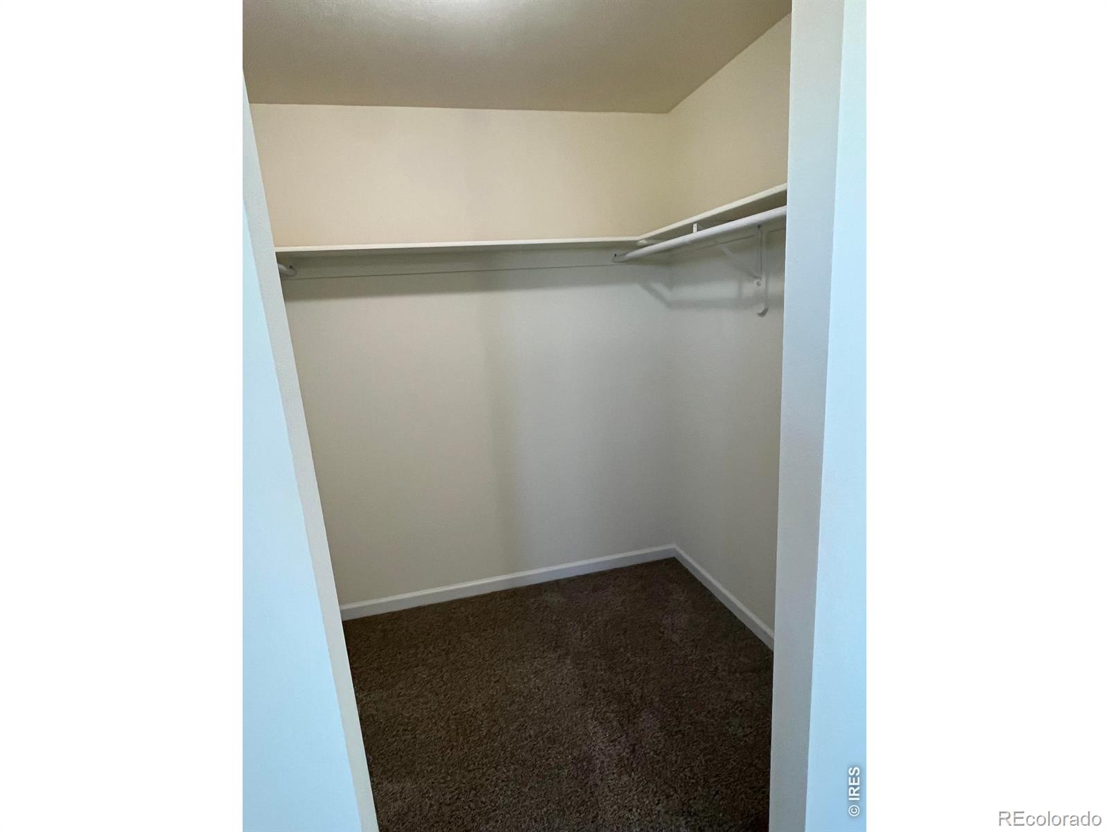 MLS Image #14 for 2305  apple street,longmont, Colorado