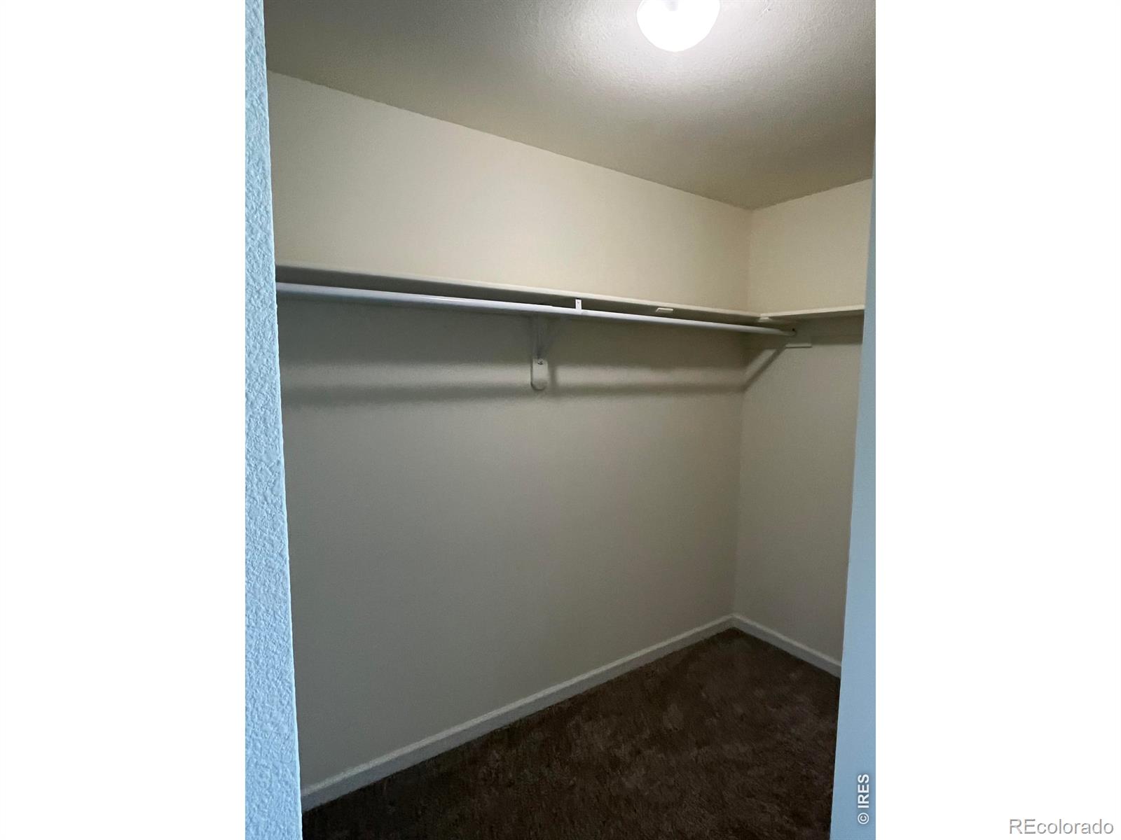 MLS Image #18 for 2305  apple street,longmont, Colorado