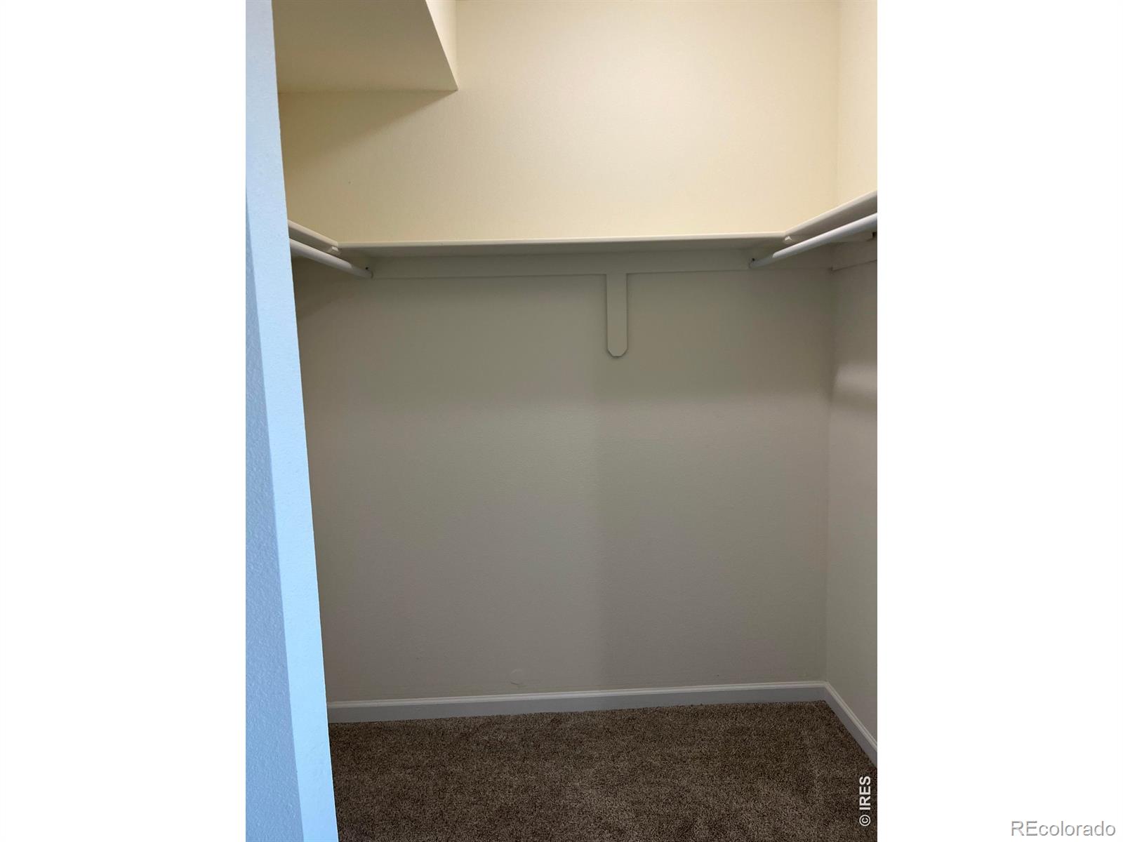 MLS Image #26 for 2305  apple street,longmont, Colorado